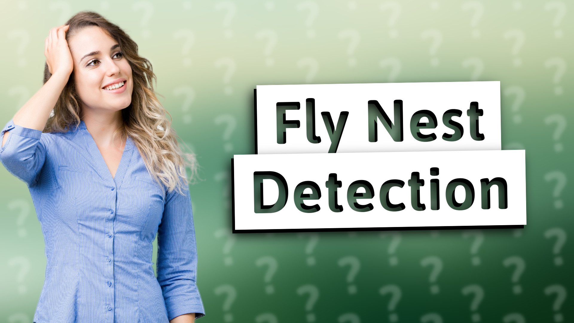 Fly Nest Detection
