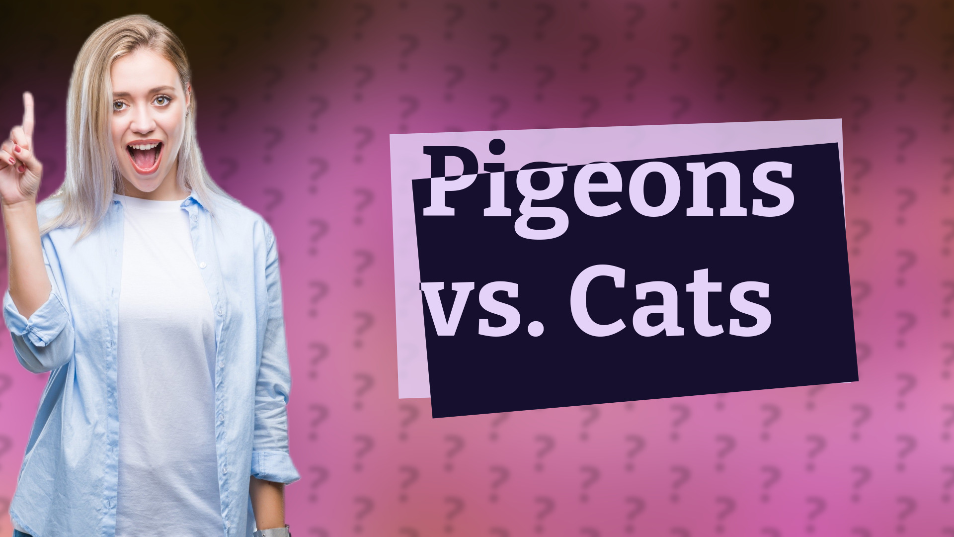 Pigeons vs. Cats