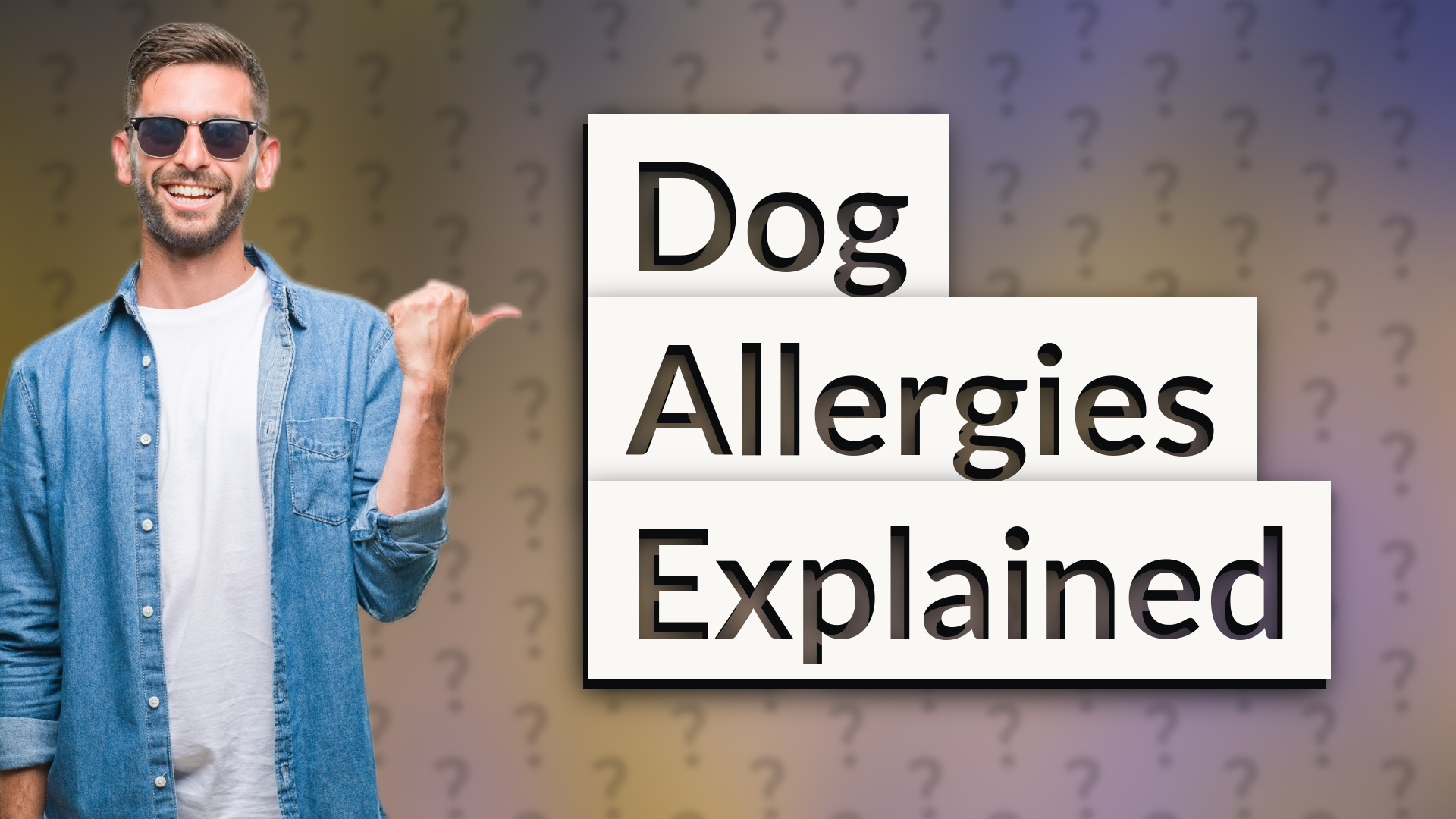 Dog Allergies Explained