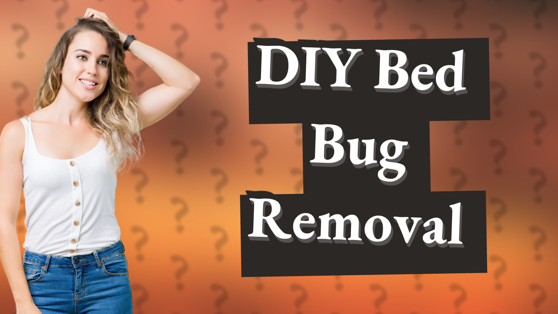 DIY Bed Bug Removal