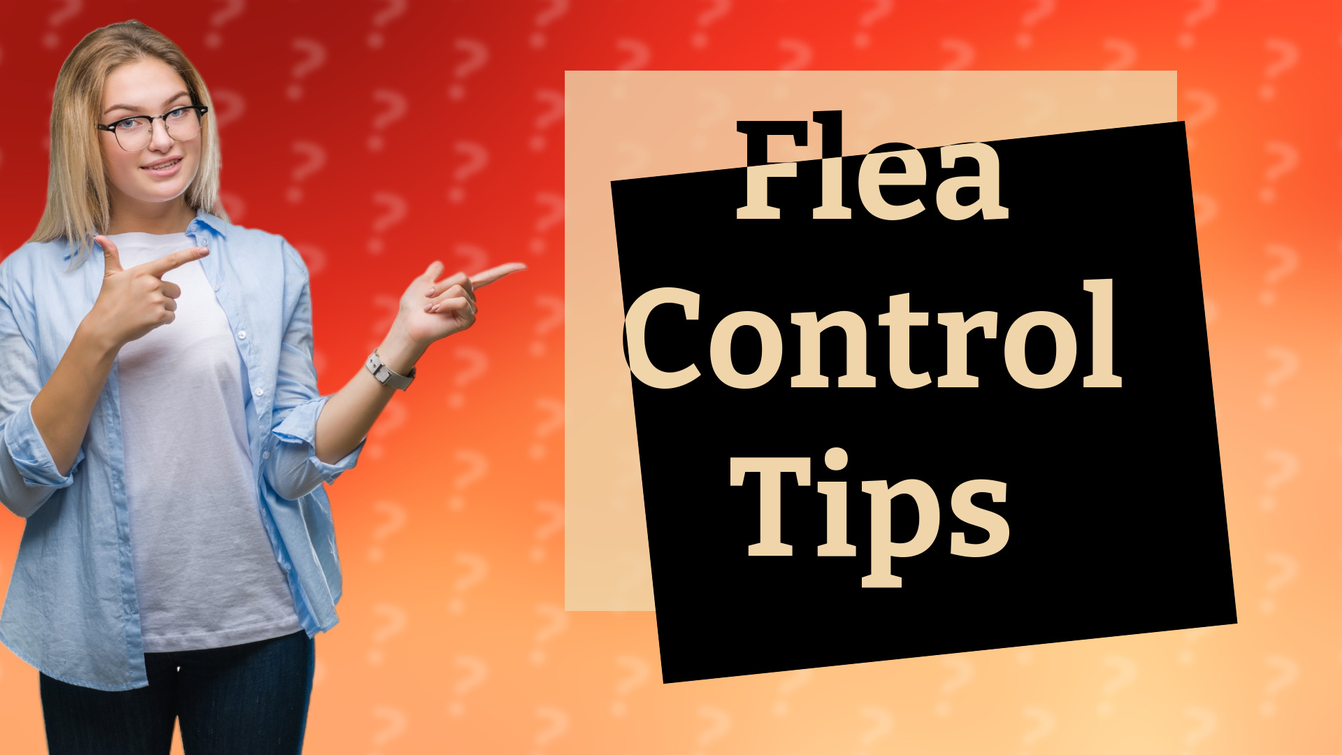 Flea Control Tips