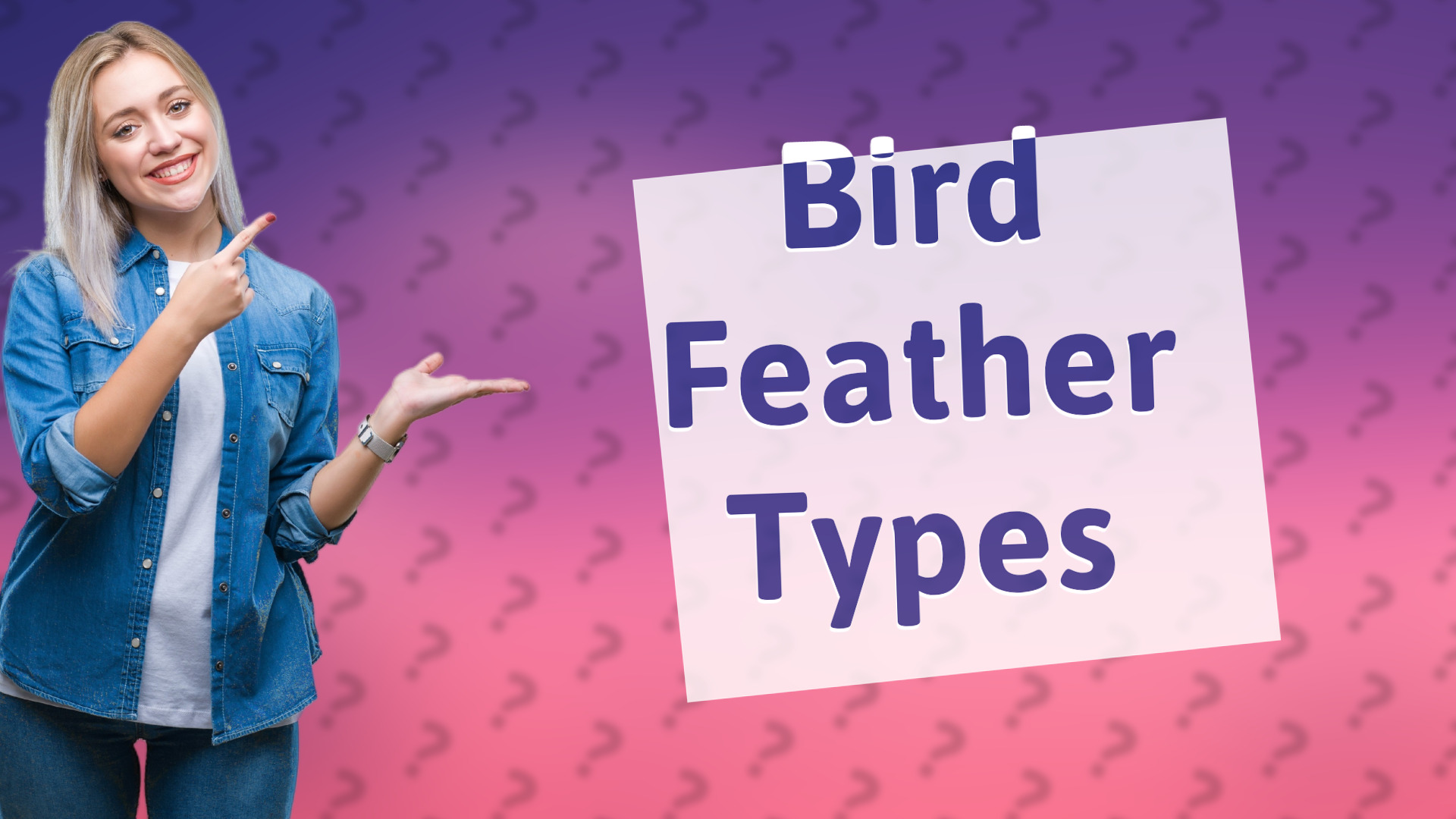 Bird Feather Types