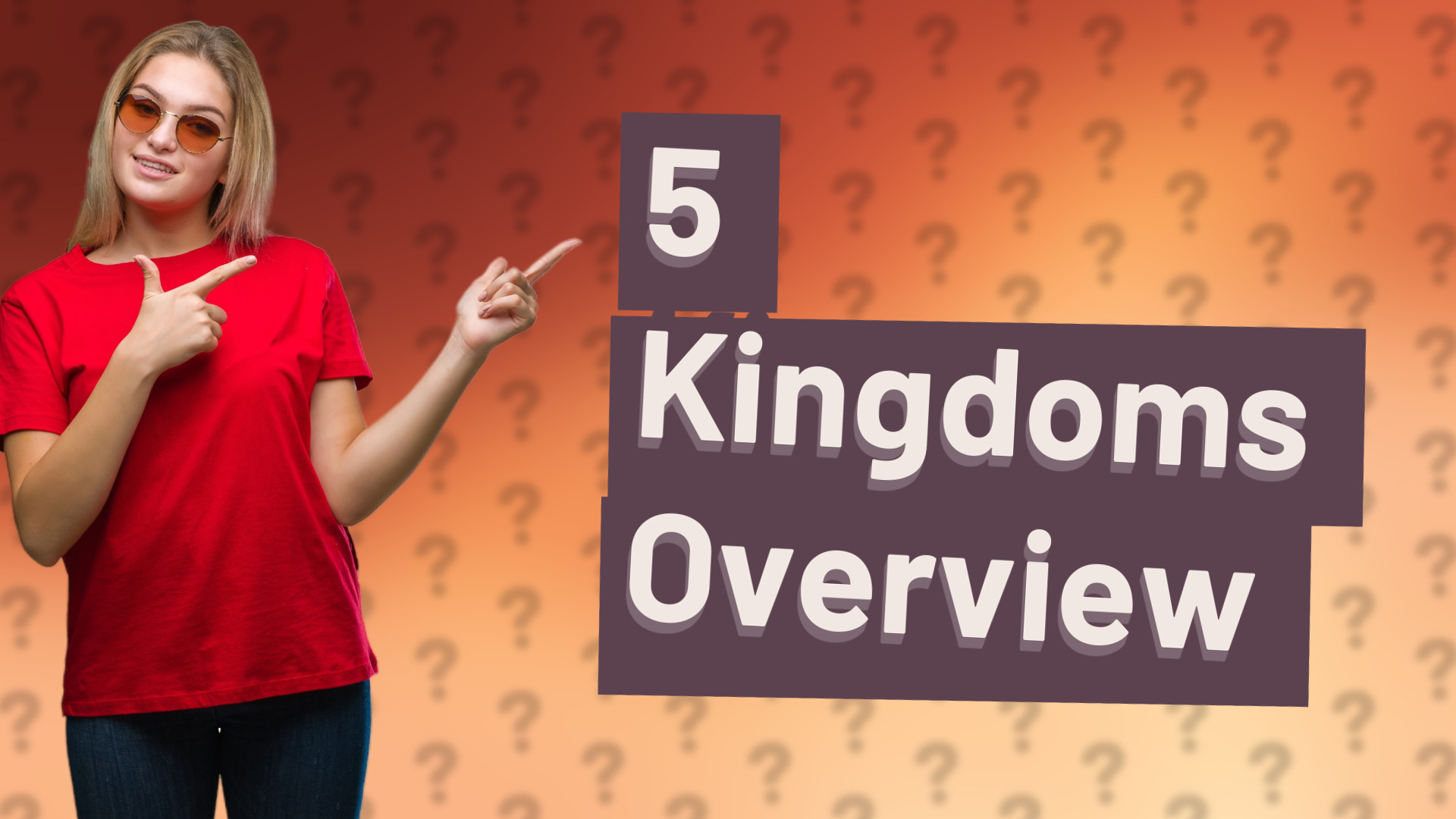5 Kingdoms Overview