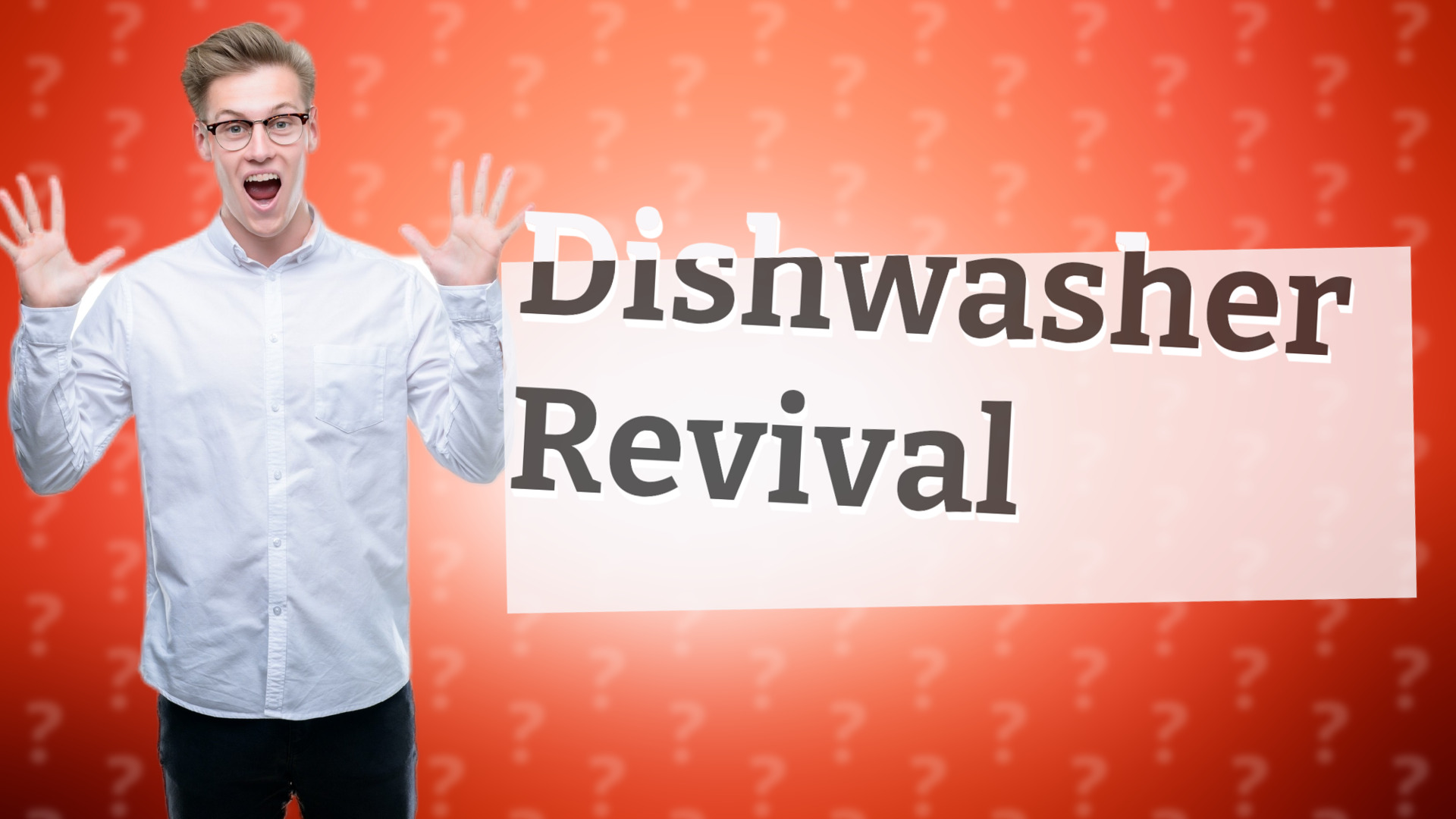 Dishwasher Revival