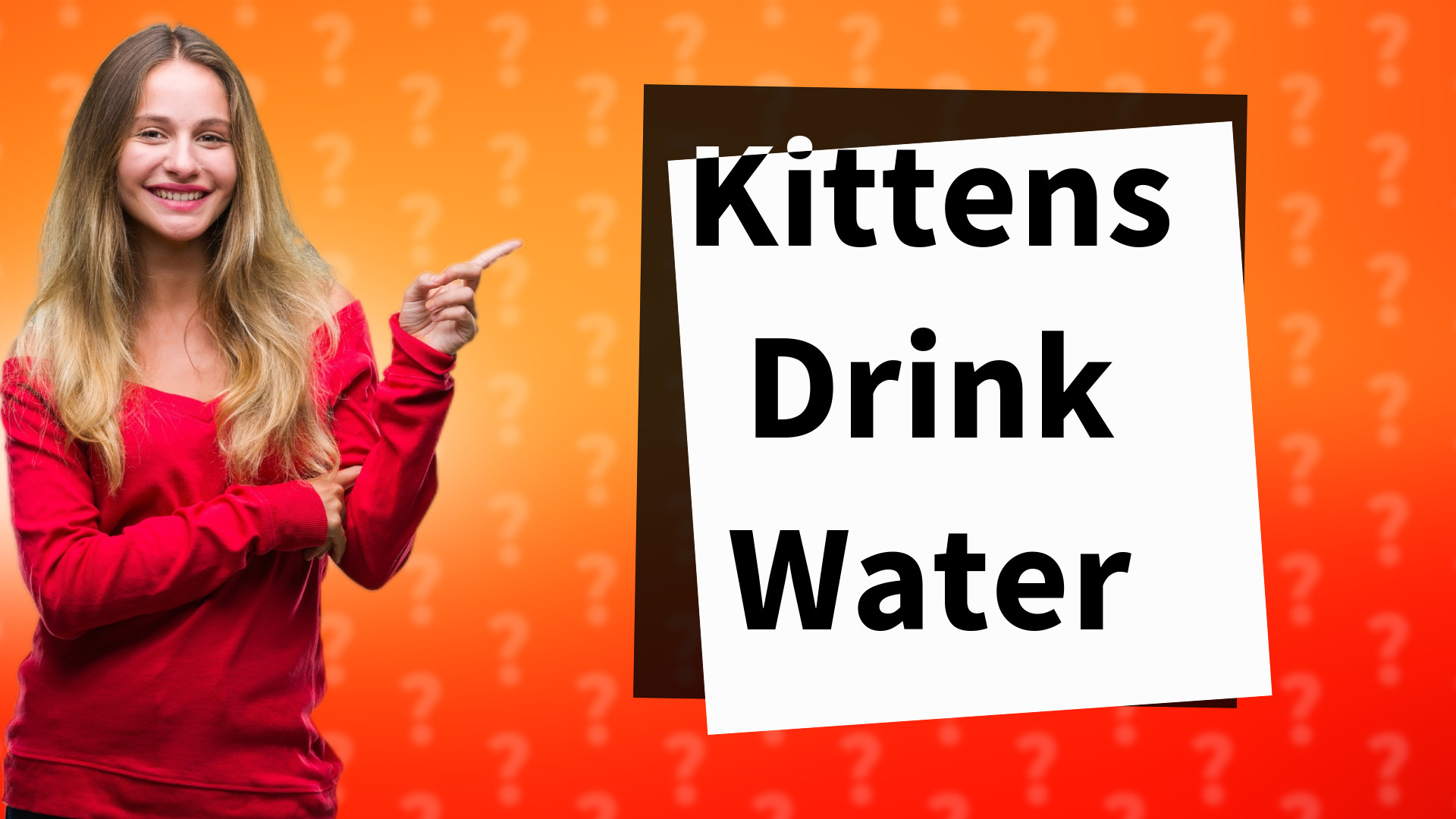 Kittens Drink Water