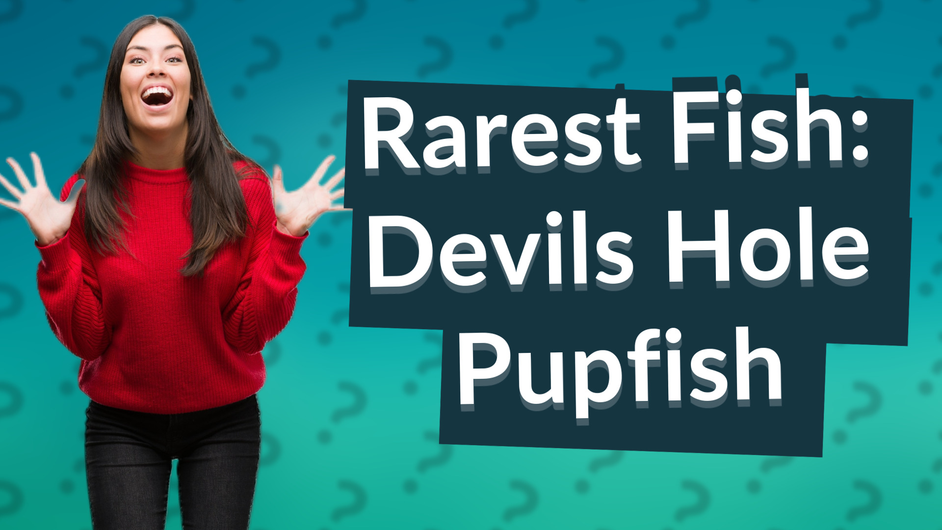Rarest Fish: Devils Hole Pupfish