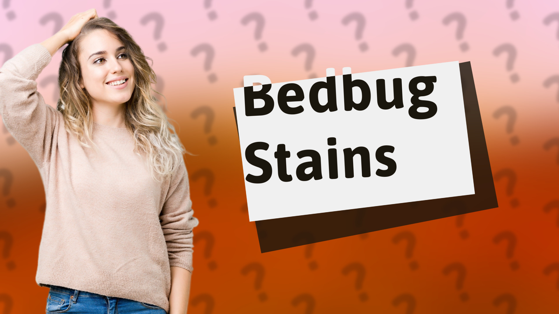 Bedbug Stains