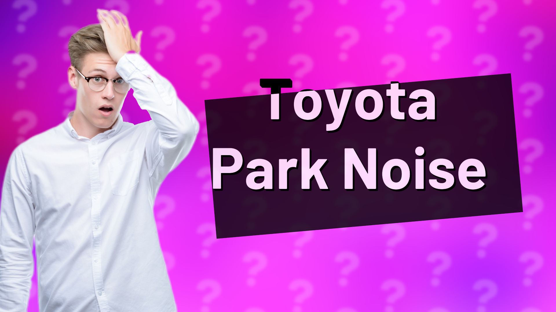 Toyota Park Noise