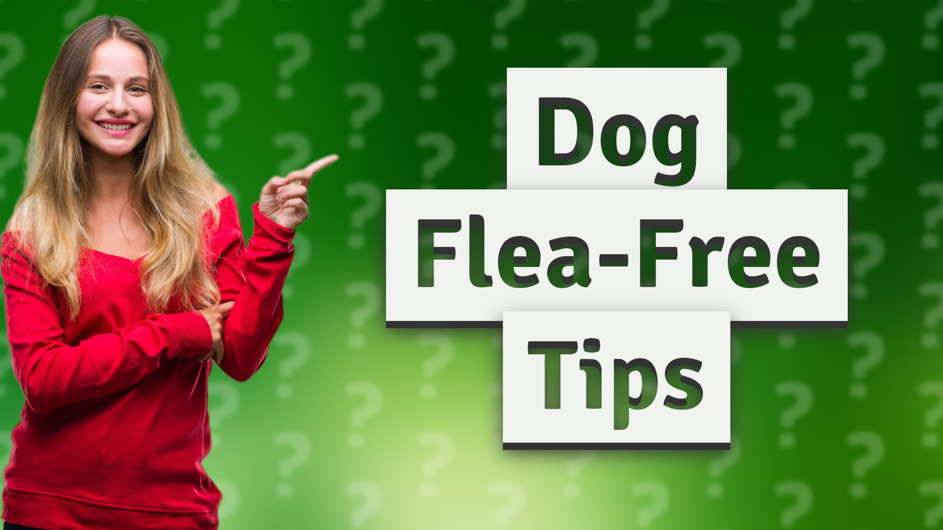 Dog Flea-Free Tips