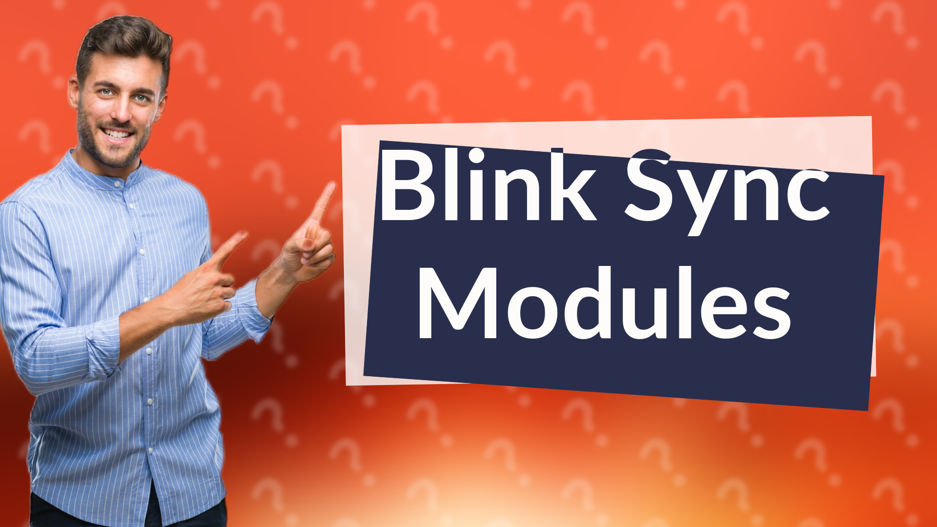 Blink Sync Modules
