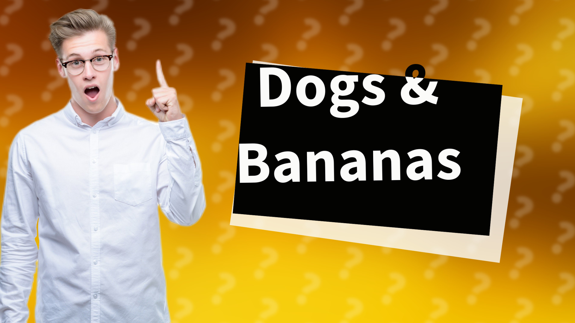 Dogs & Bananas
