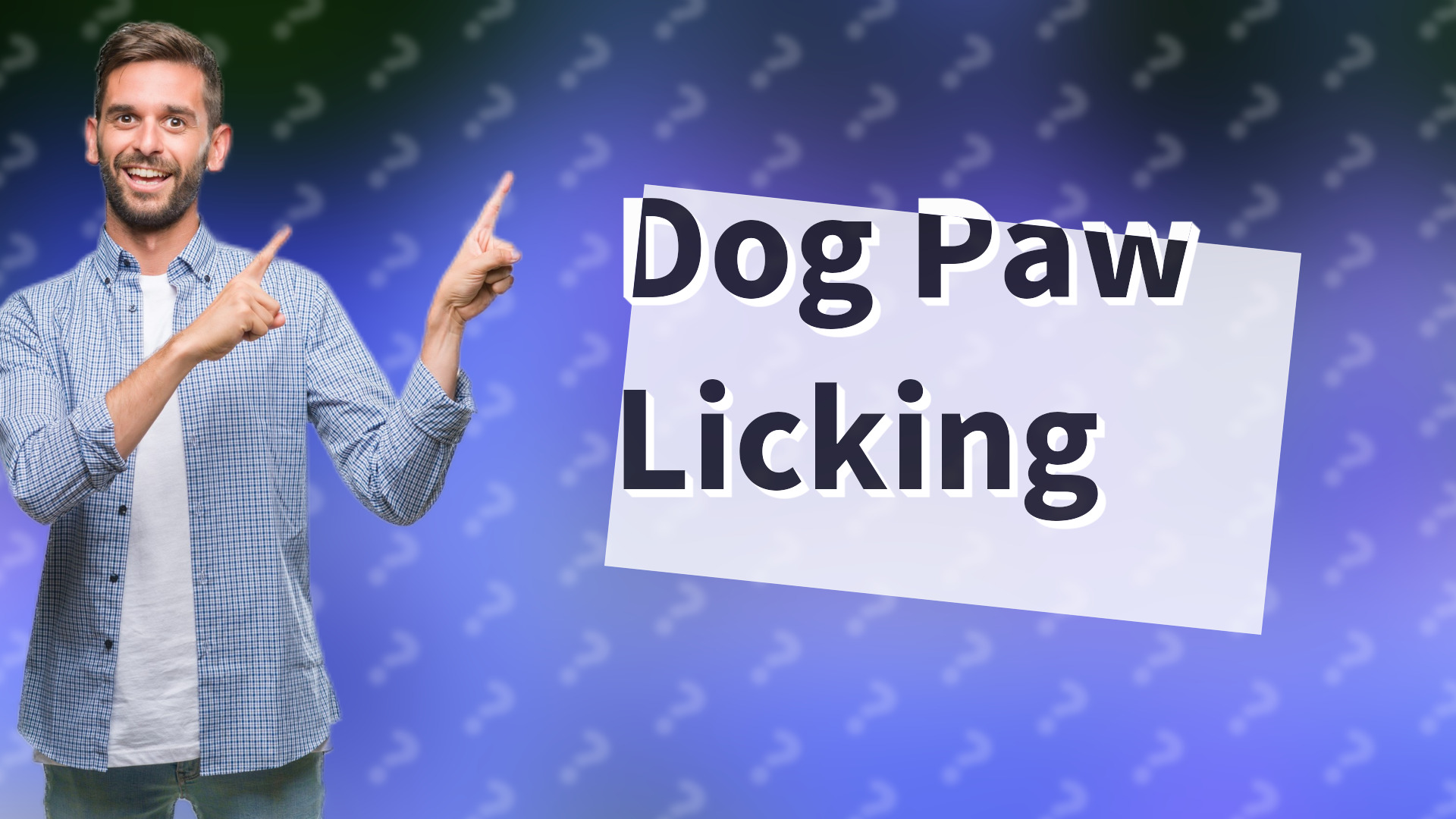 Dog Paw Licking