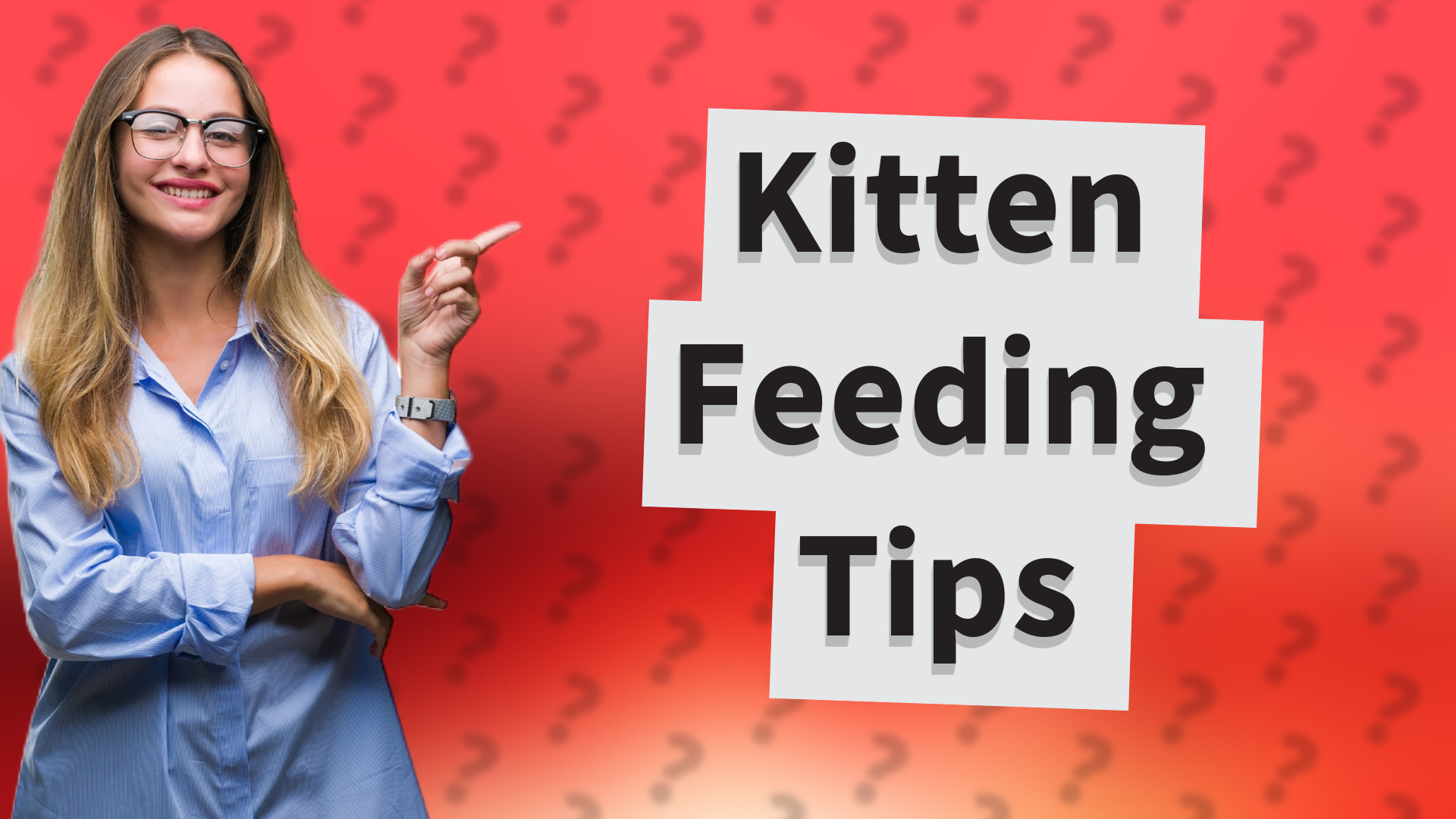 Kitten Feeding Tips