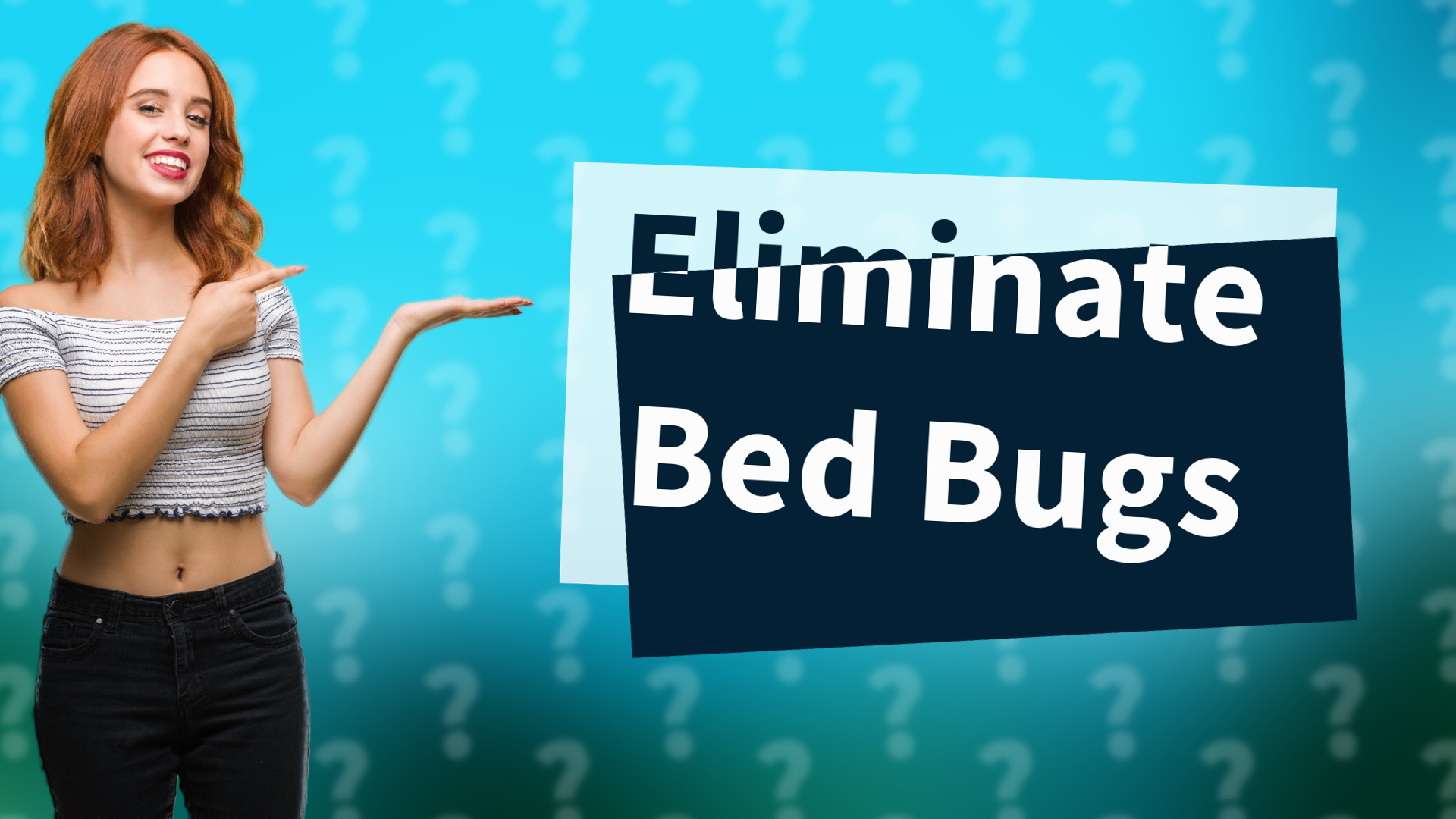 Eliminate Bed Bugs