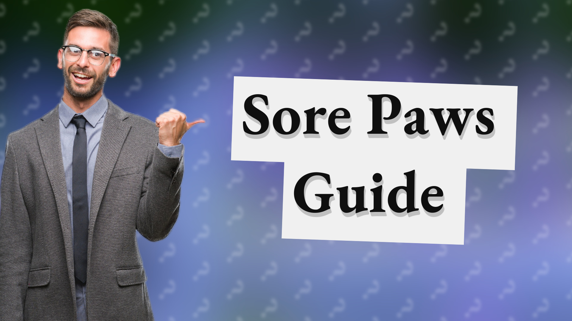 Sore Paws Guide