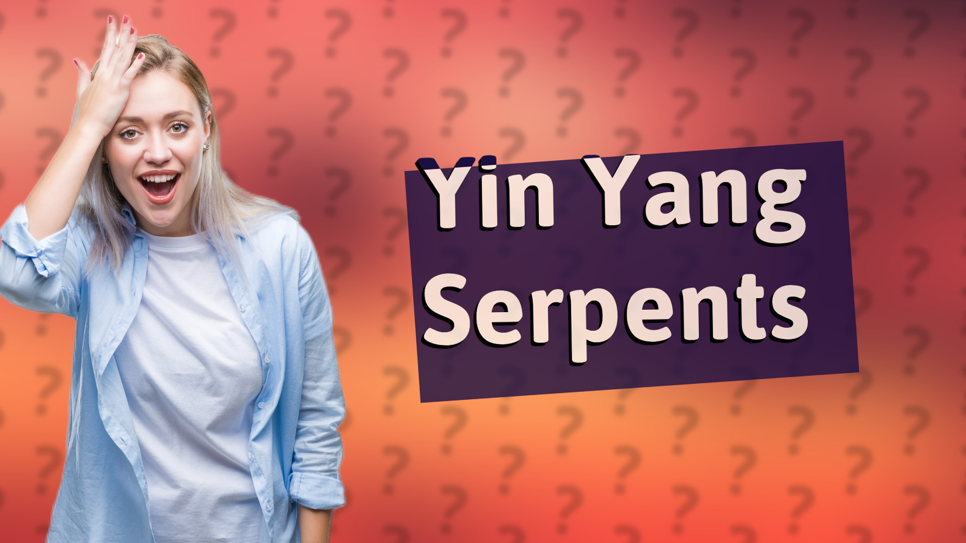 Yin Yang Serpents
