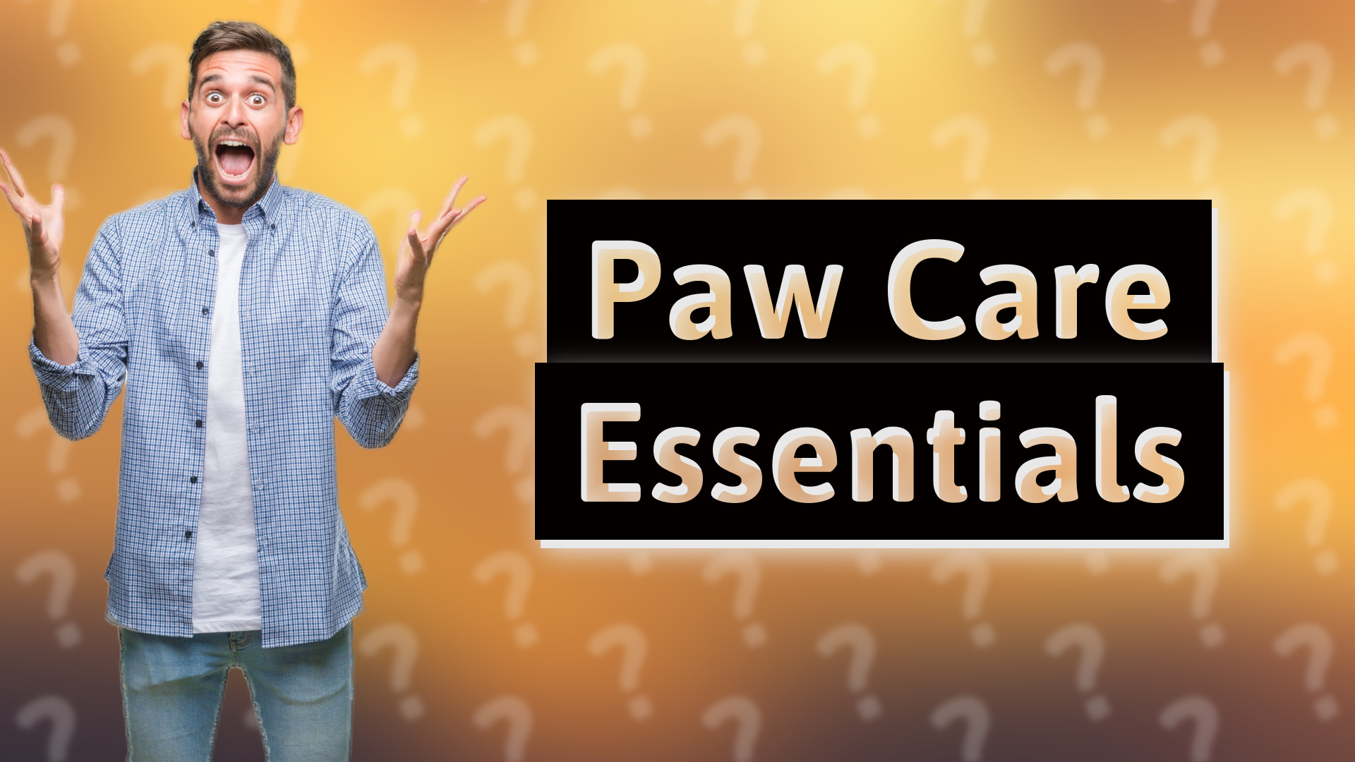 Paw Care Essentials
