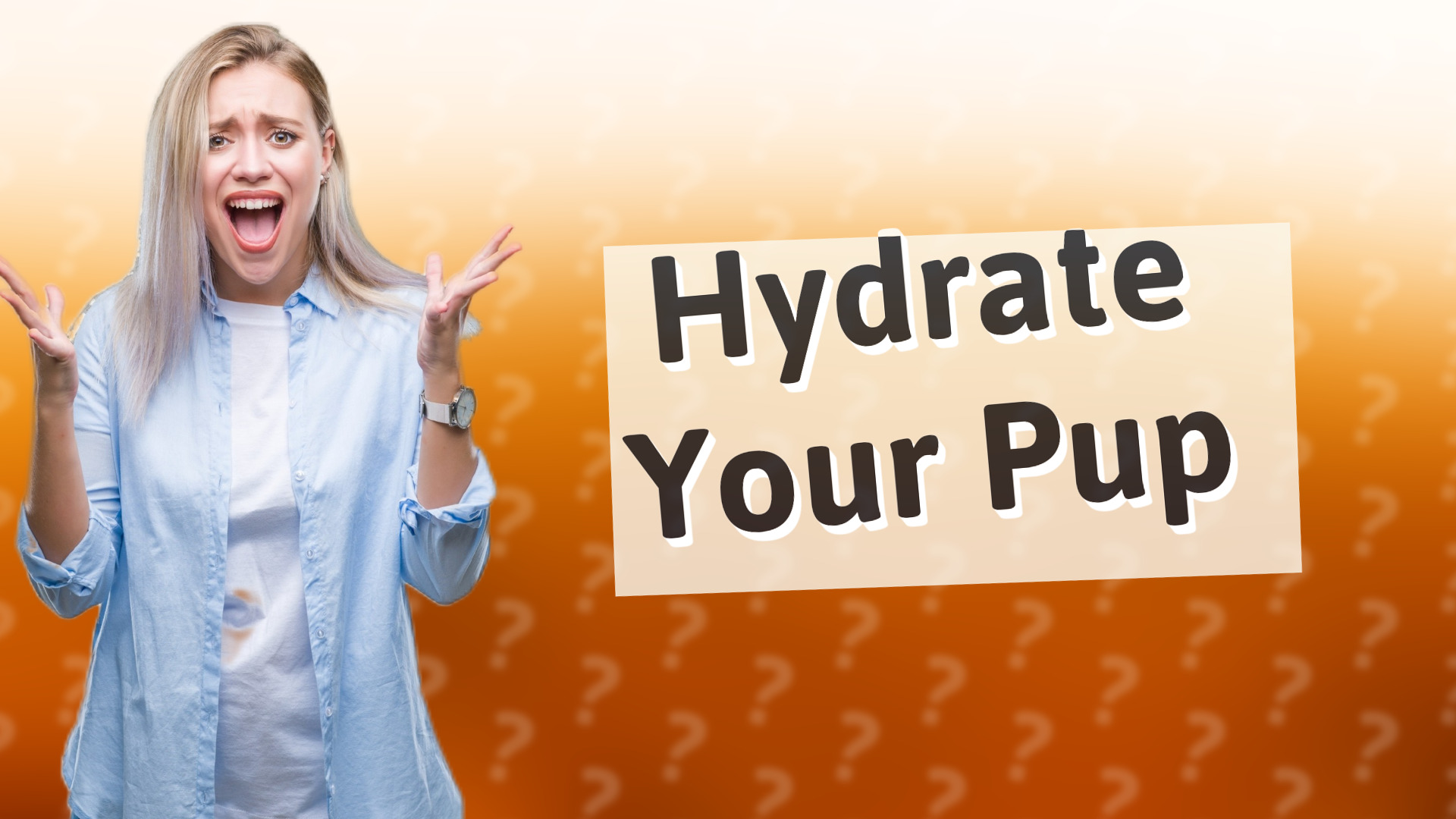 Hydrate Your Pup