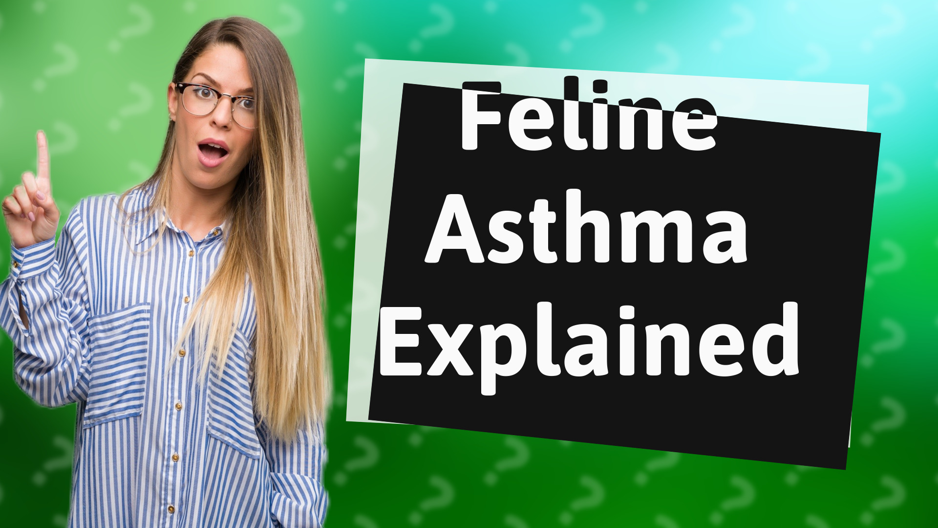 Feline Asthma Explained