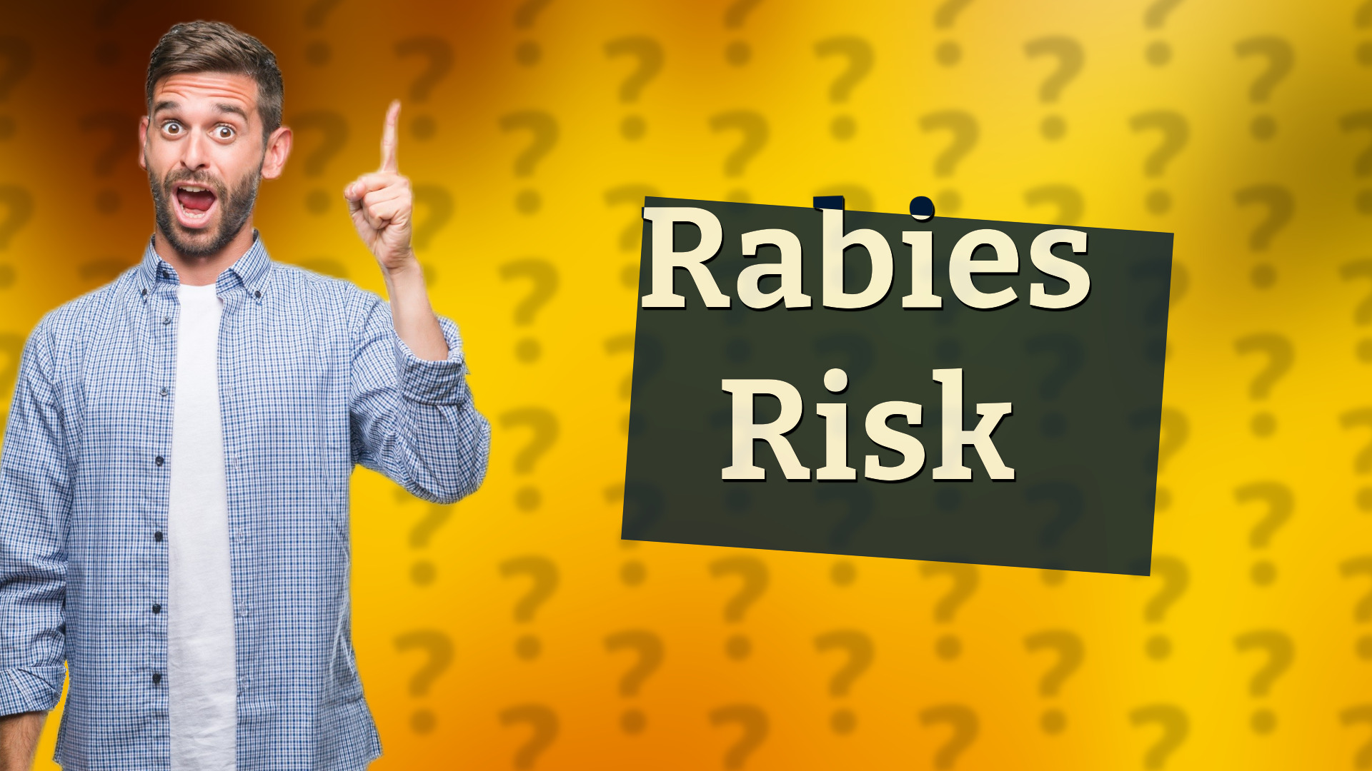 Rabies Risk