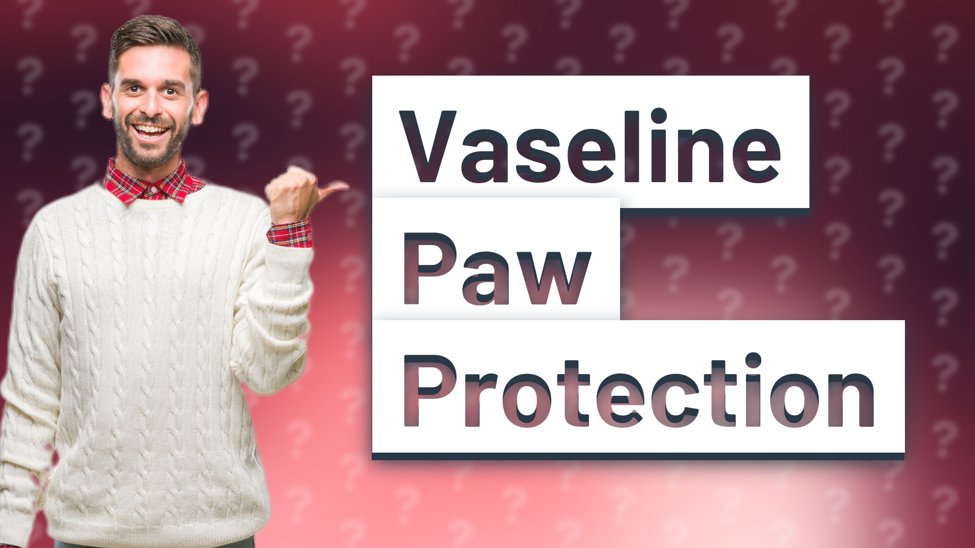 Vaseline Paw Protection