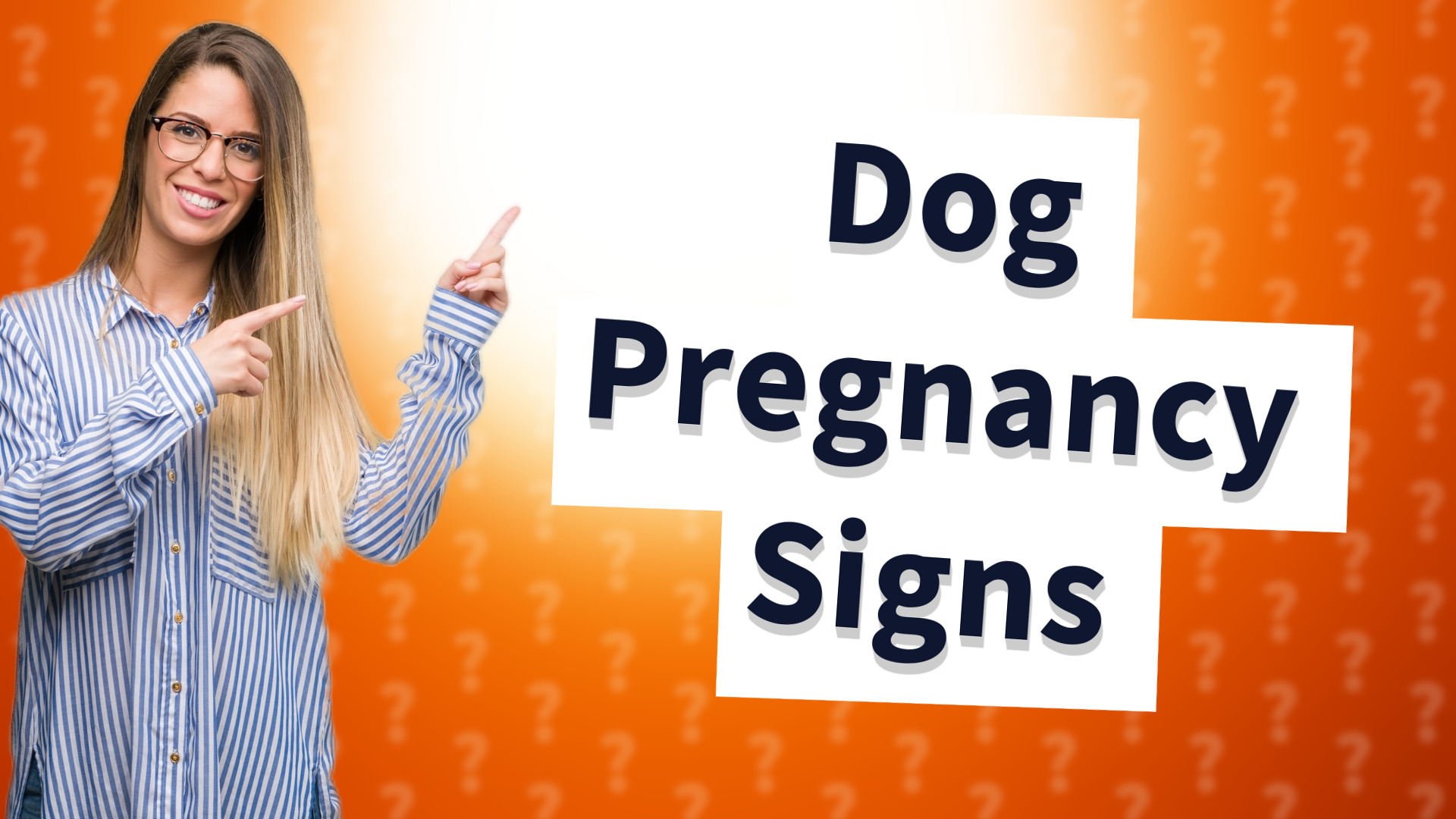 Dog Pregnancy Signs