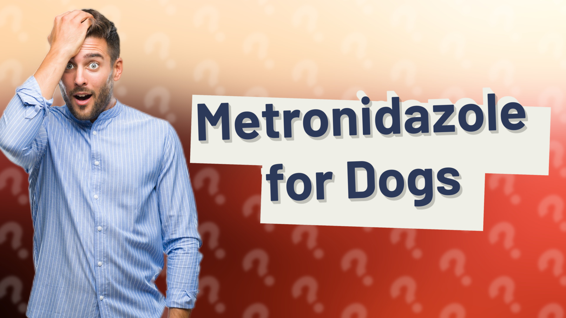 Metronidazole for Dogs
