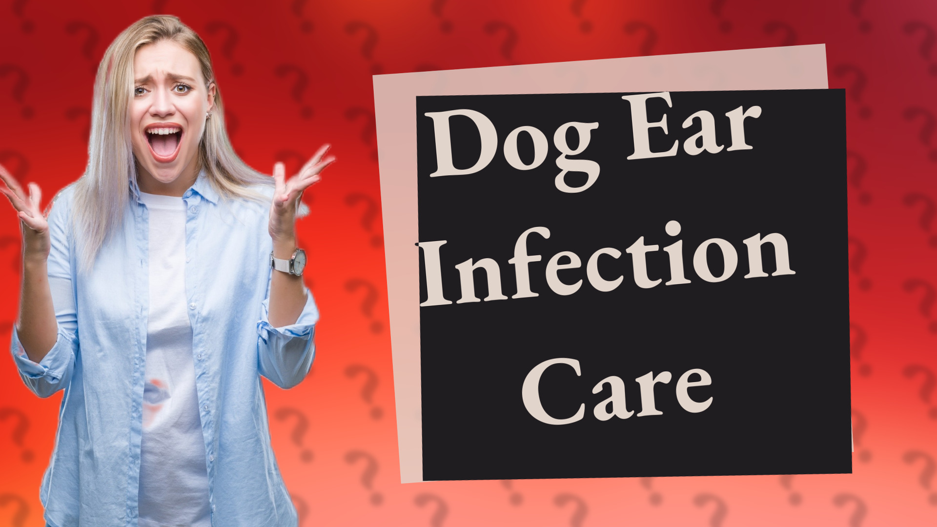 Dog Ear Infection Care