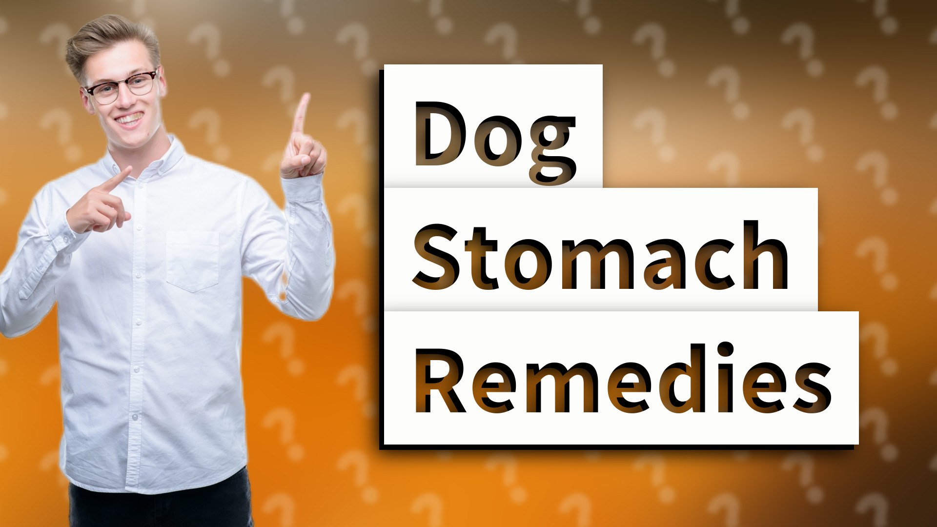 Dog Stomach Remedies