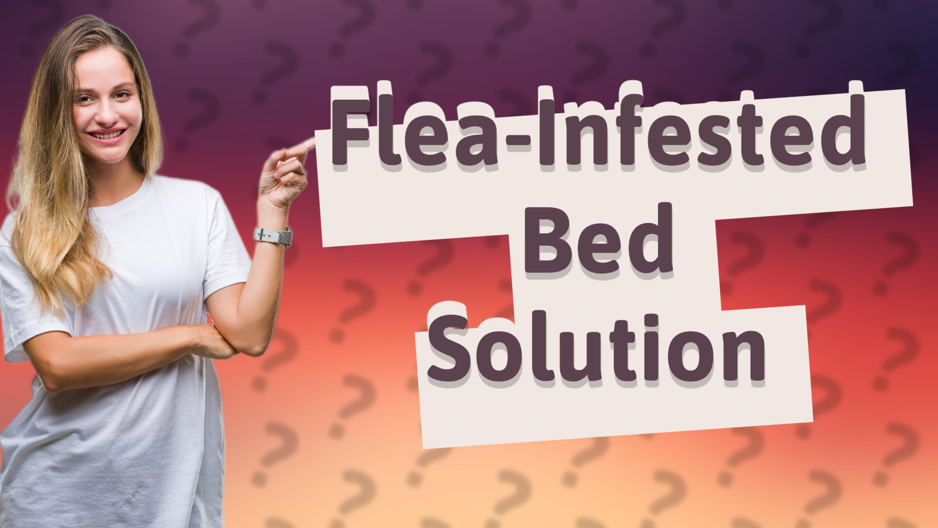 Flea-Infested Bed Solution