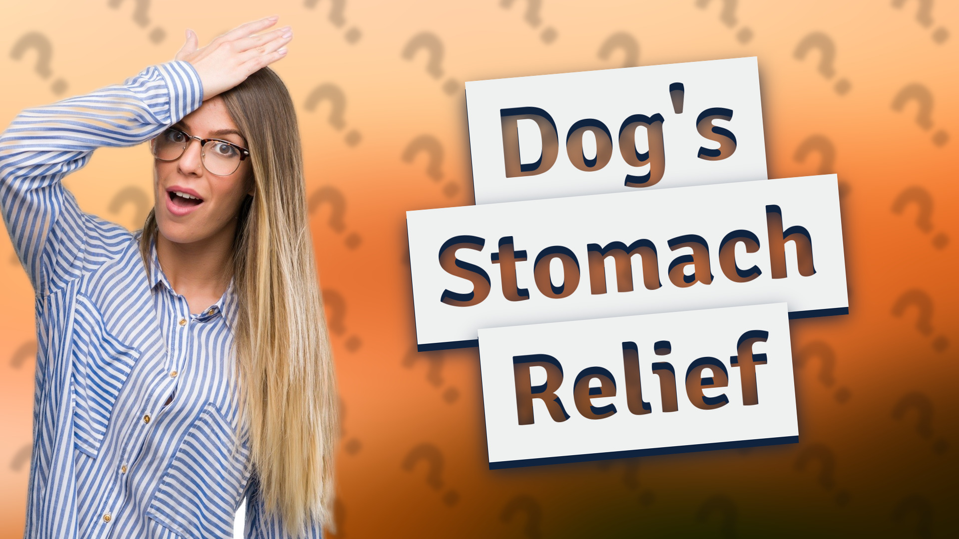 Dog's Stomach Relief