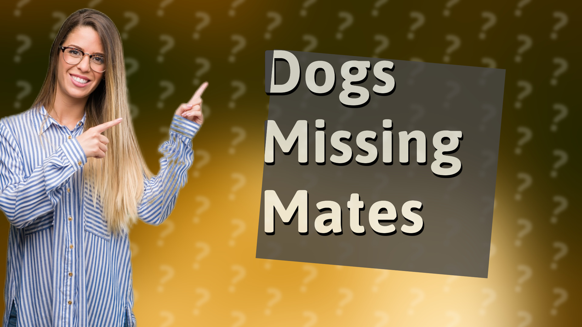 Dogs Missing Mates