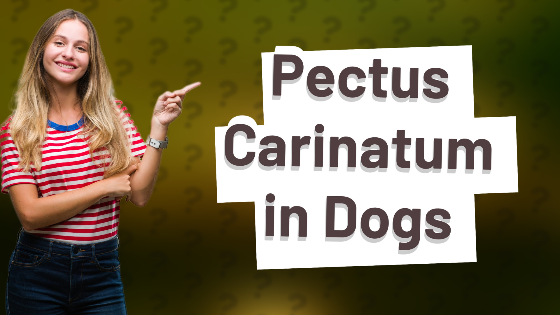 Pectus Carinatum in Dogs