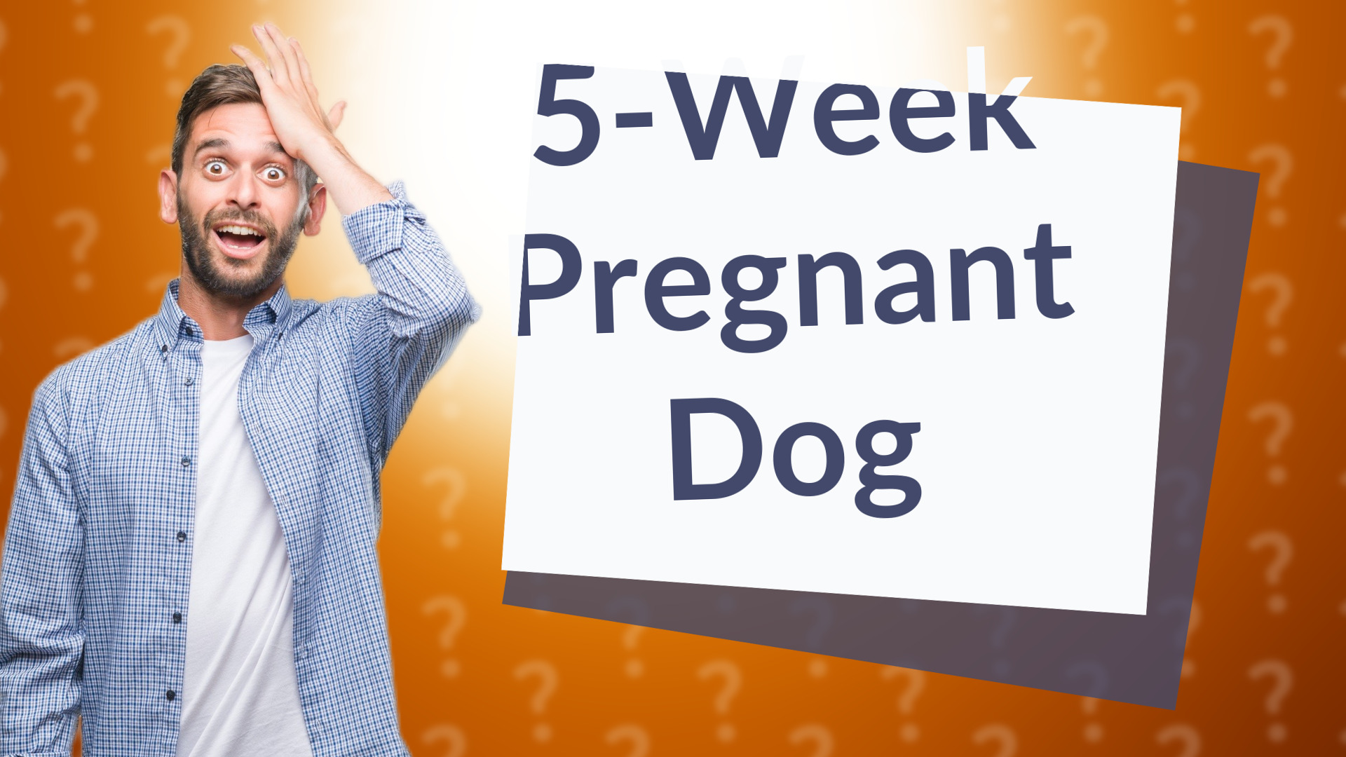 5-Week Pregnant Dog