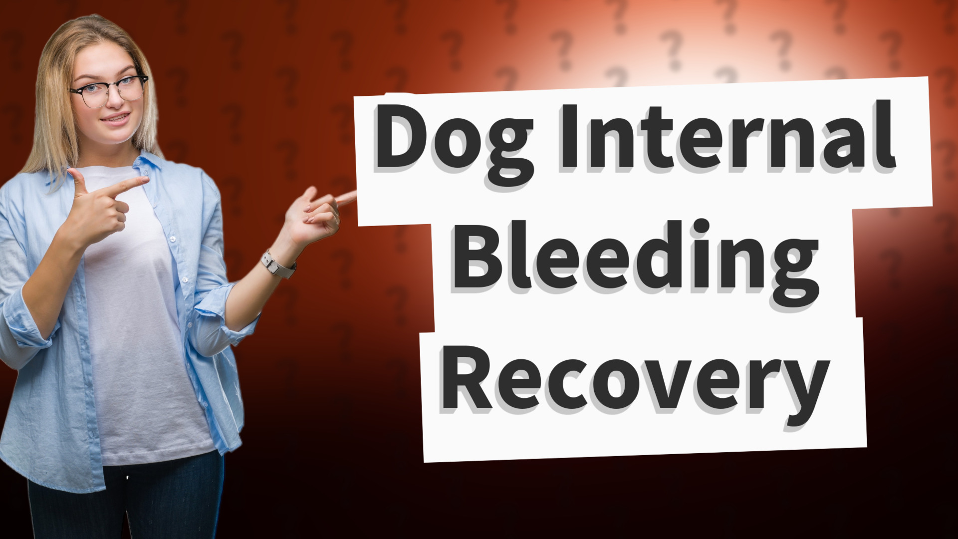 Dog Internal Bleeding Recovery