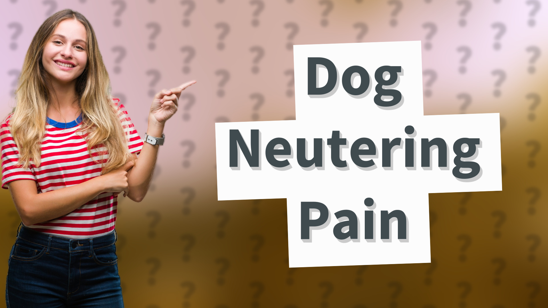 Dog Neutering Pain