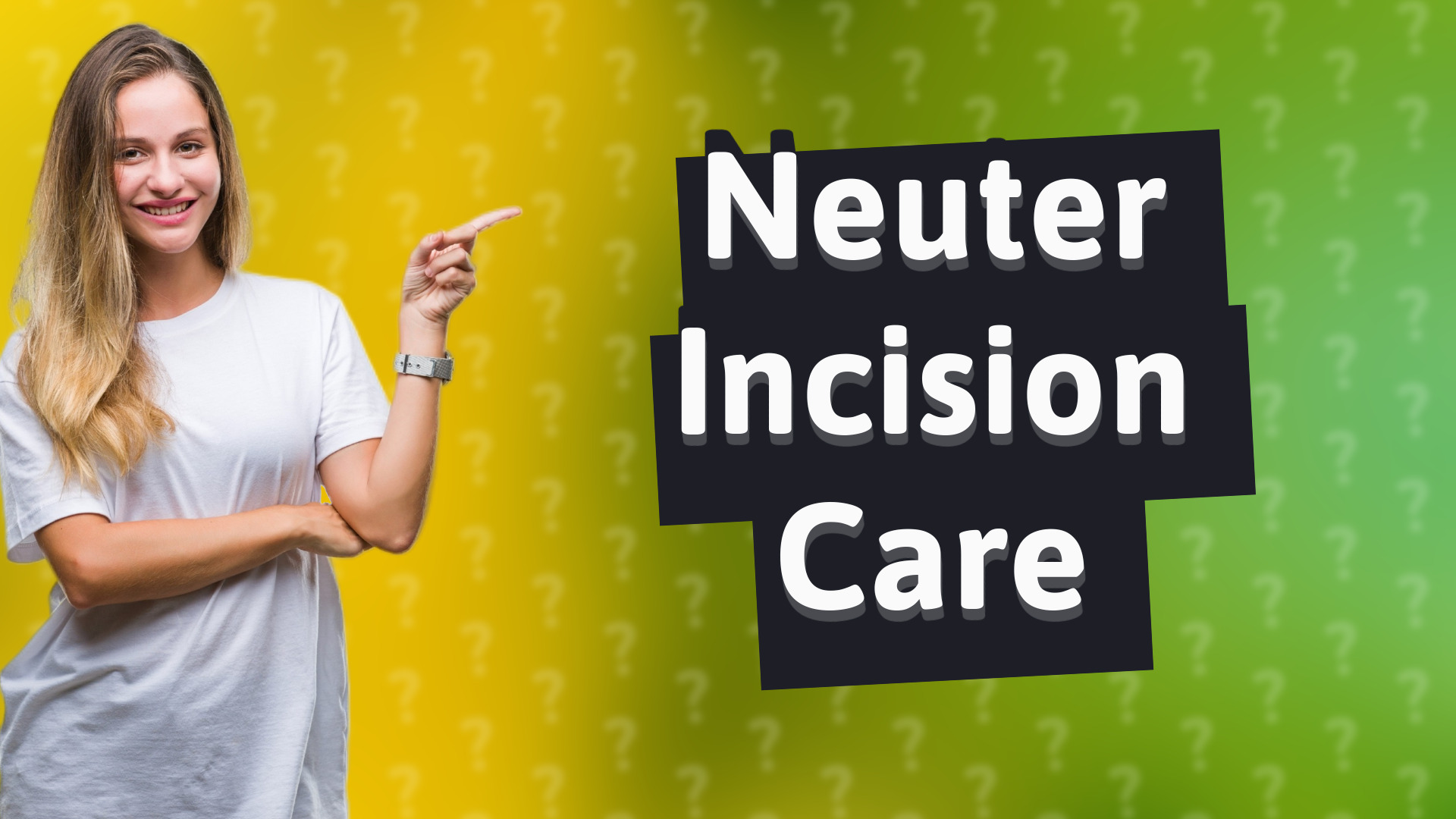 Neuter Incision Care