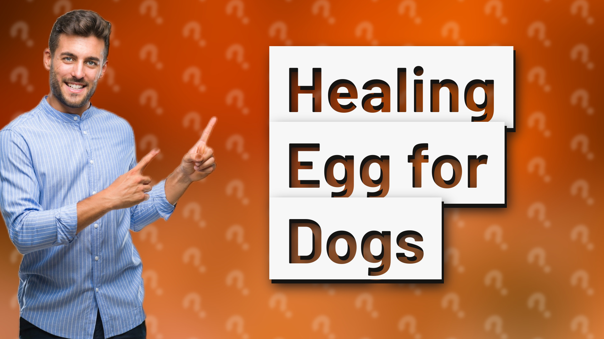 Healing Egg for Dogs
