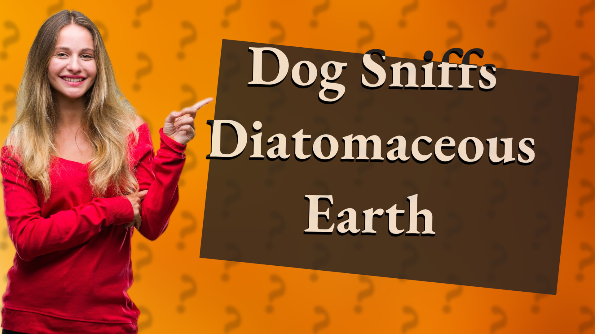 Dog Sniffs Diatomaceous Earth