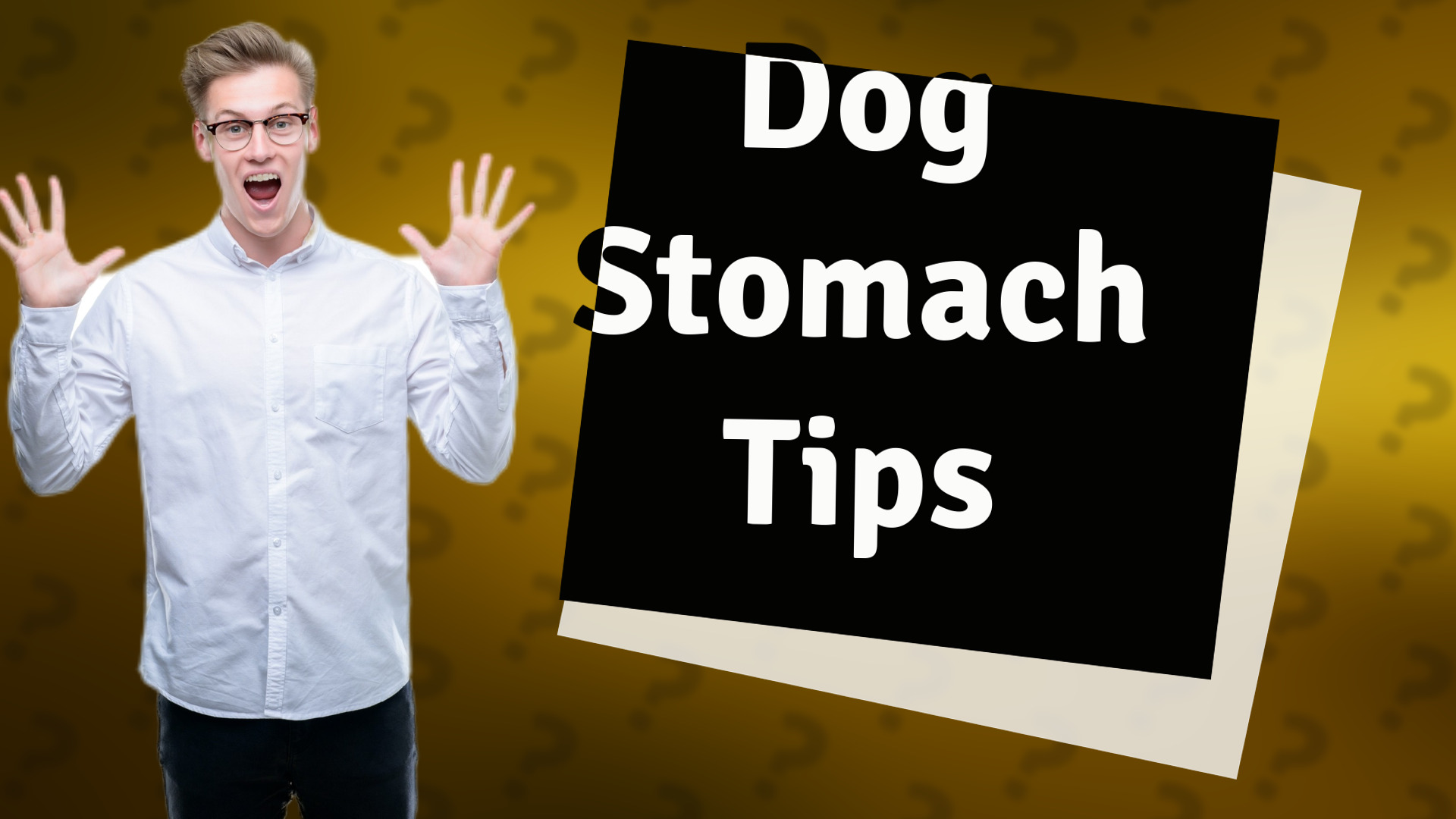 Dog Stomach Tips