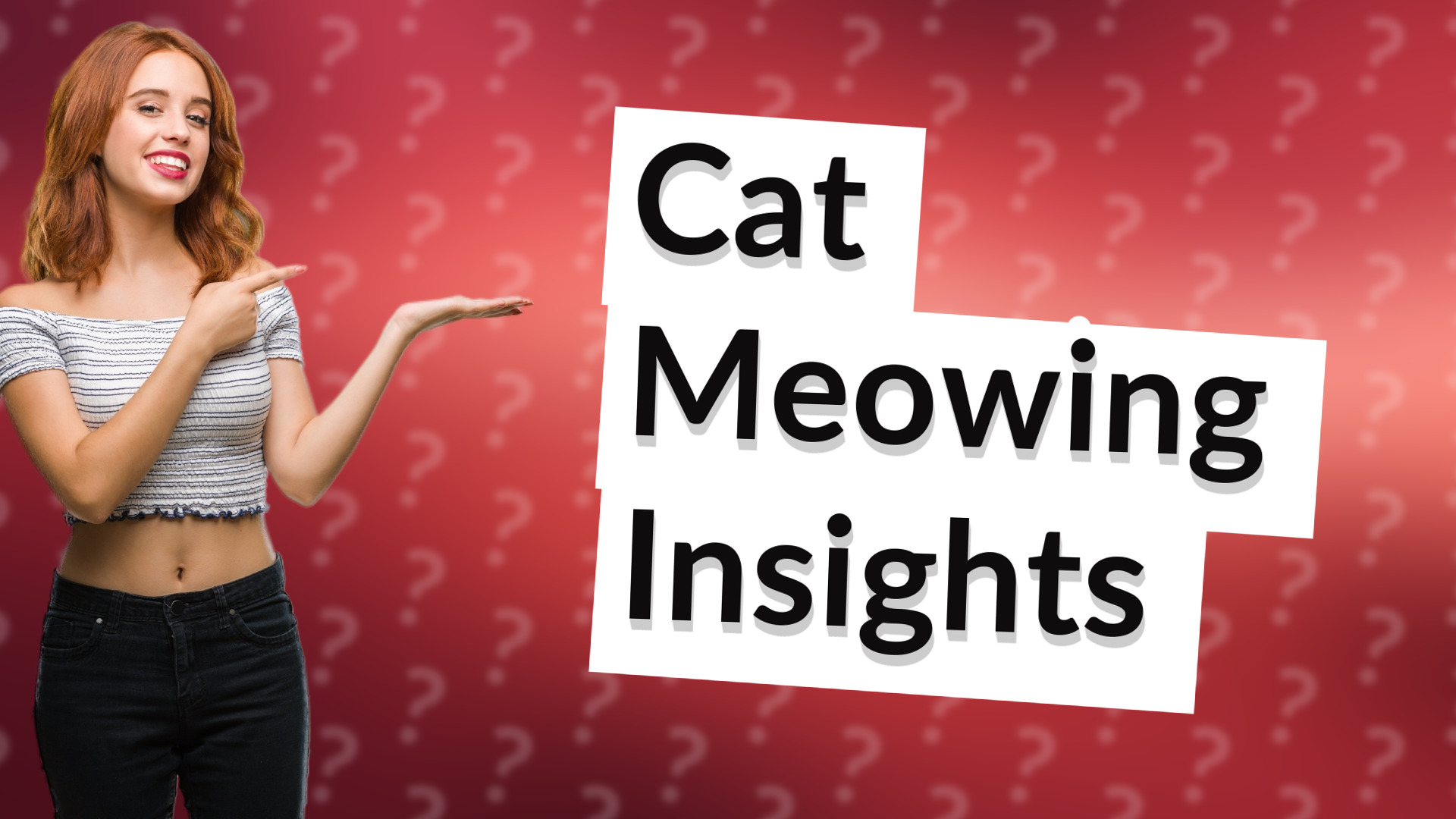 Cat Meowing Insights