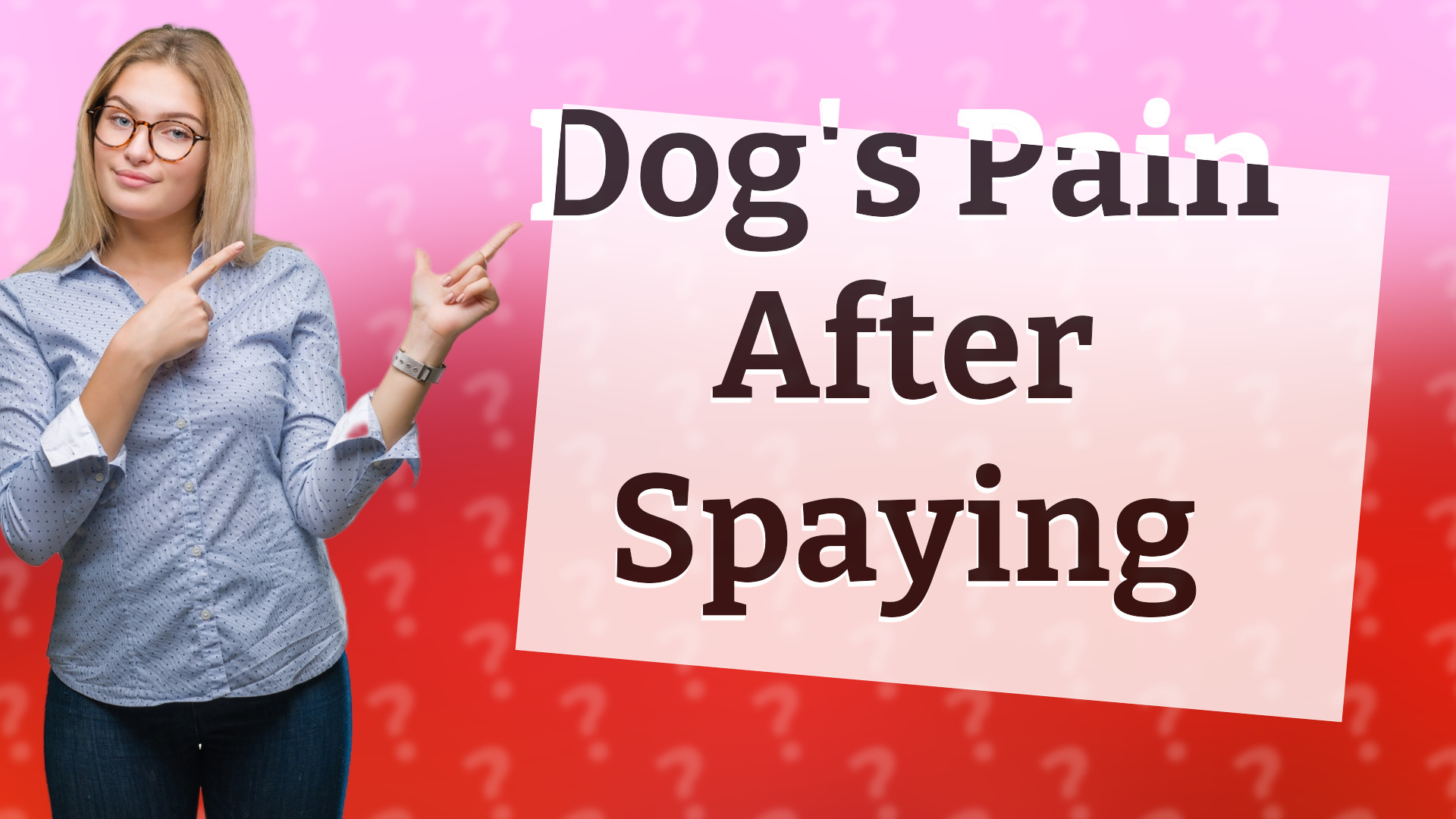 Dog's Pain After Spaying