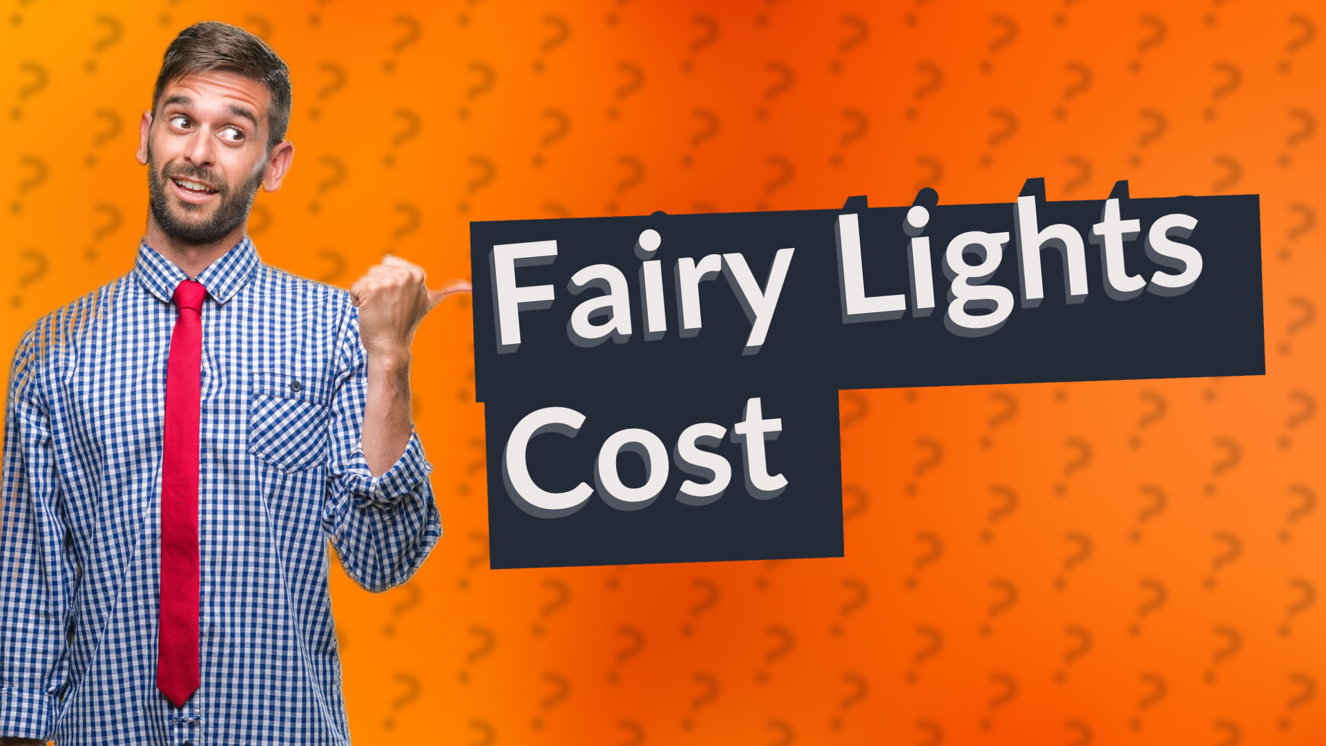 Fairy Lights Cost