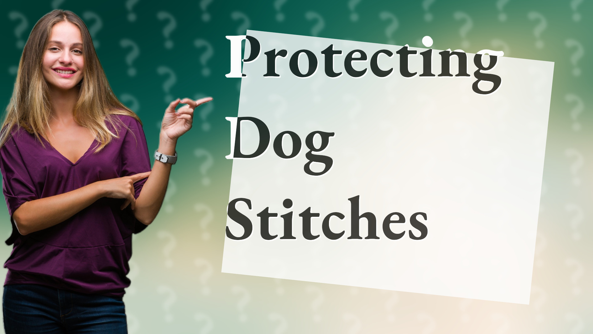 Protecting Dog Stitches