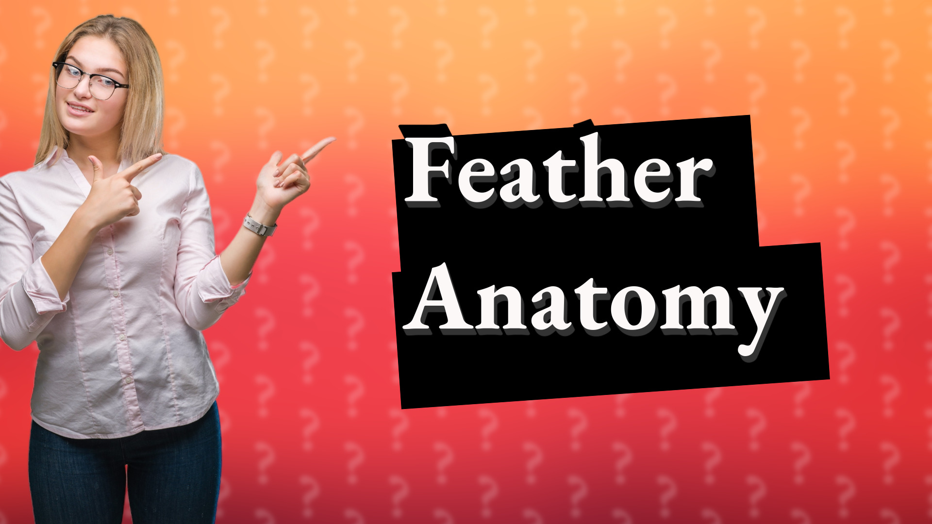 Feather Anatomy