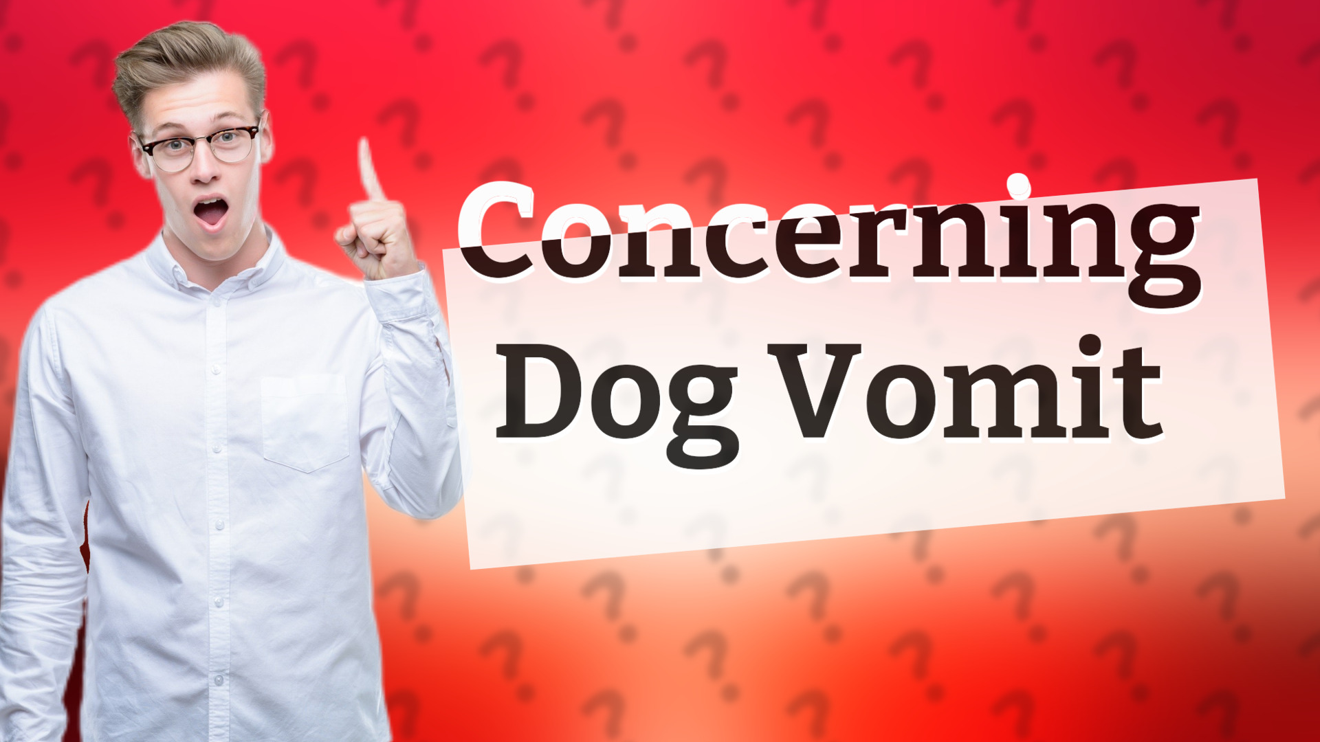 Concerning Dog Vomit