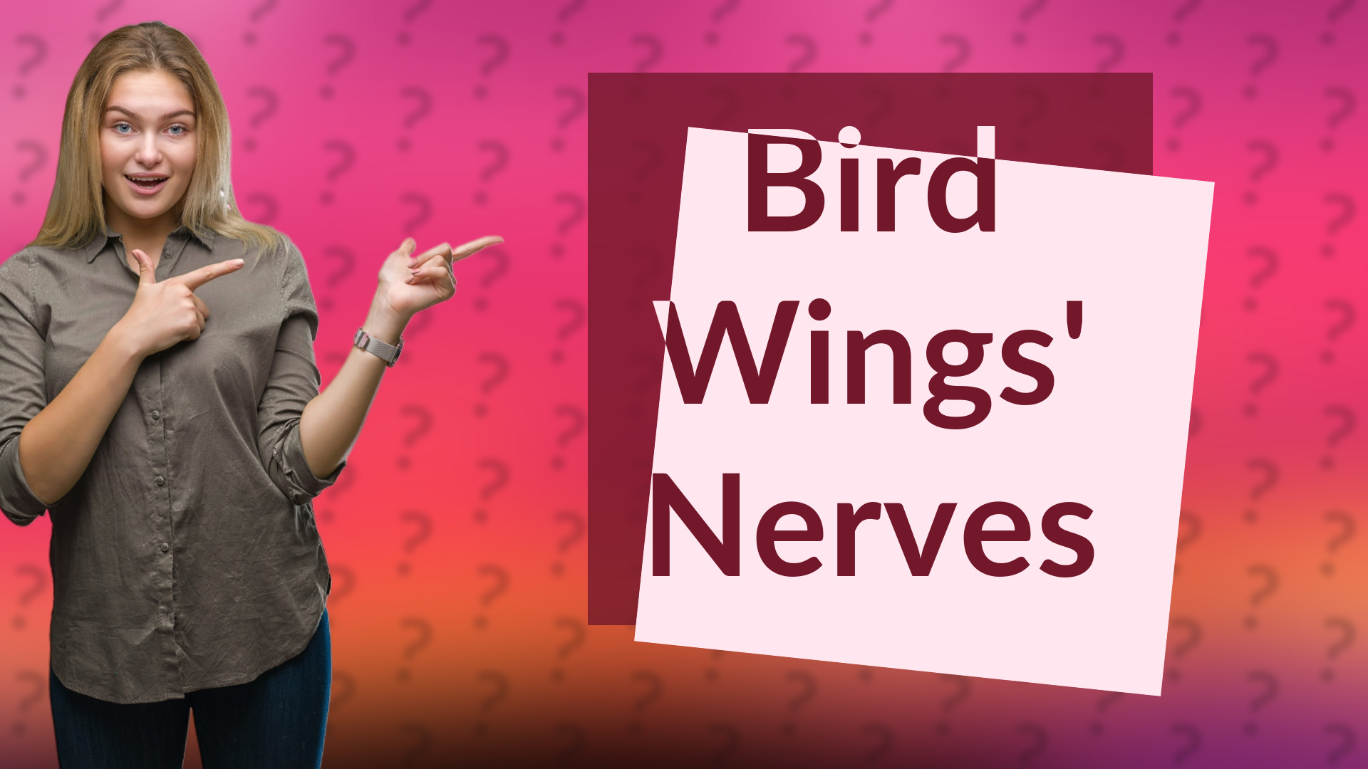 Bird Wings' Nerves