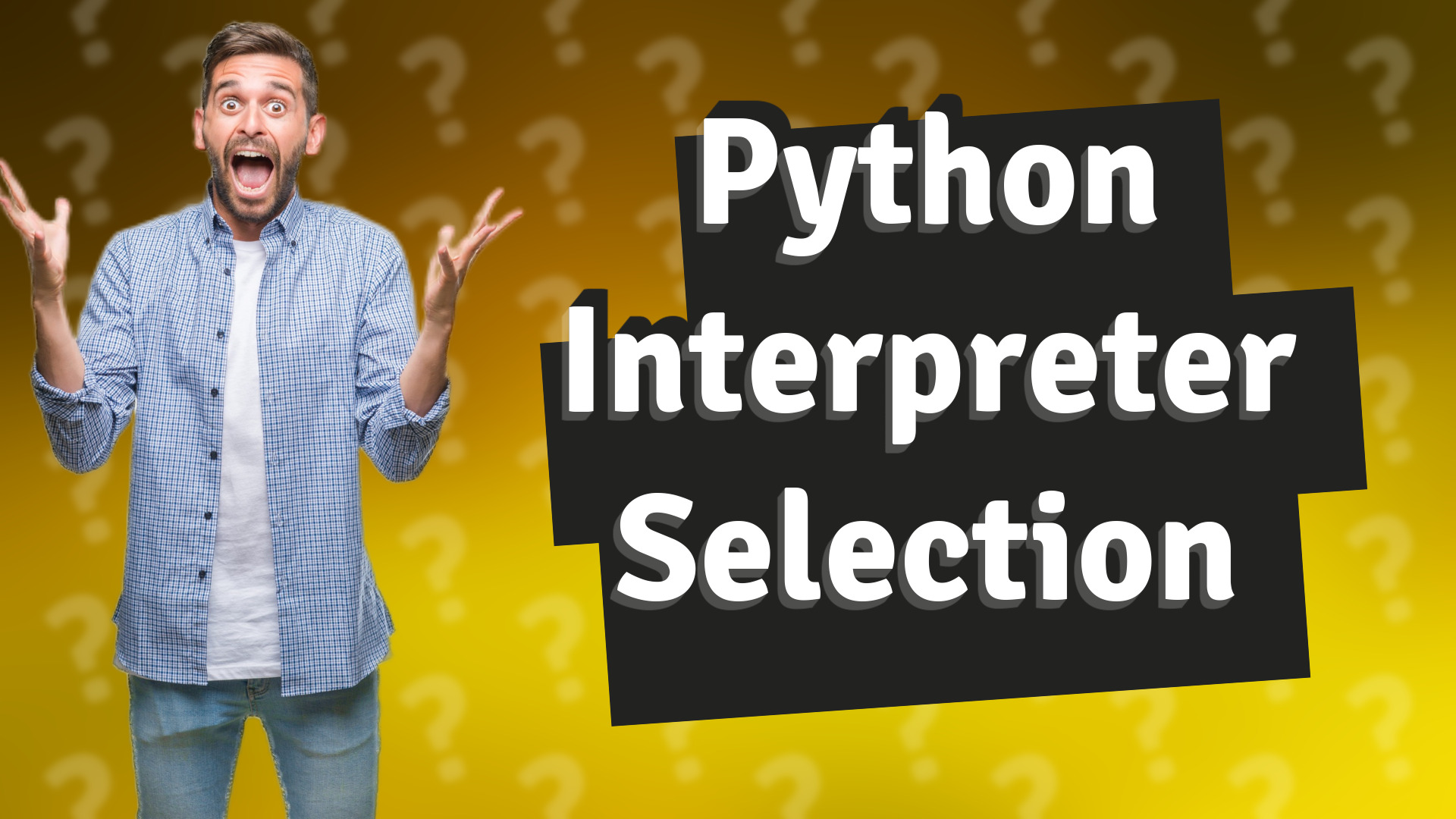 Python Interpreter Selection