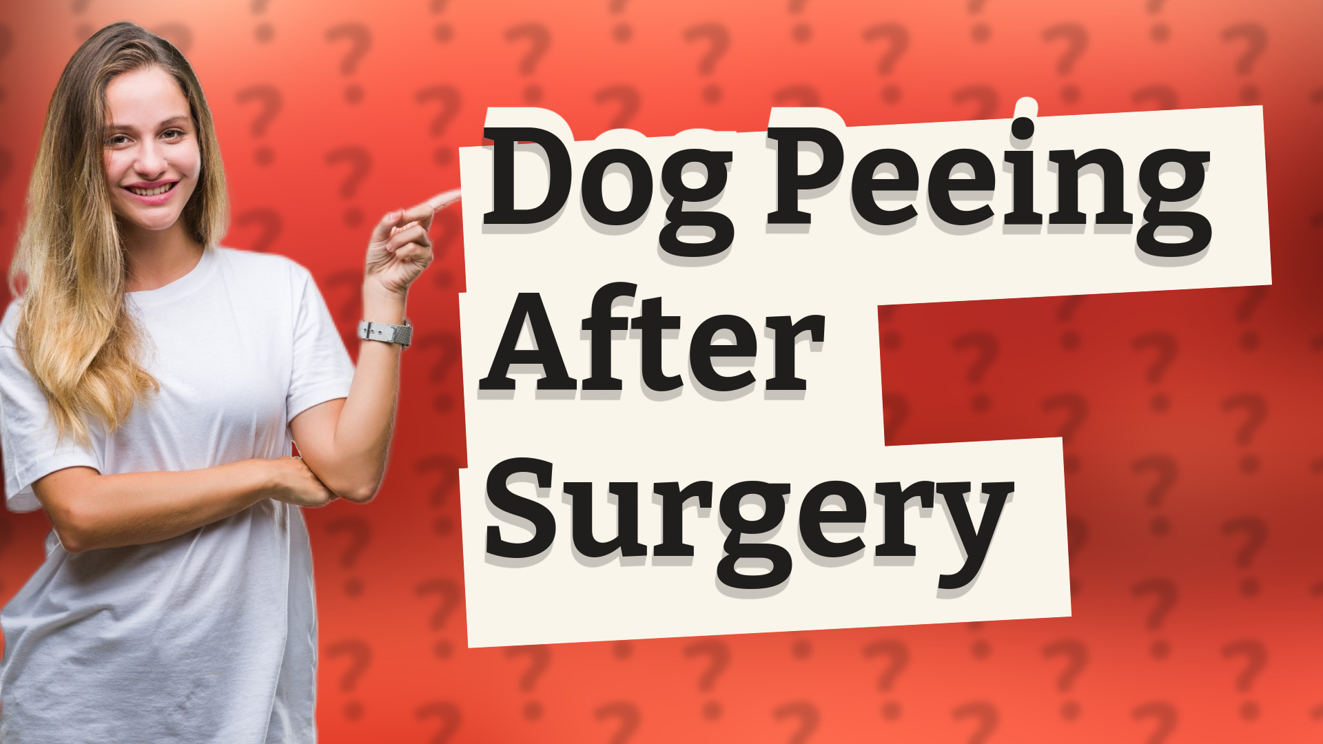 Dog Peeing After Surgery