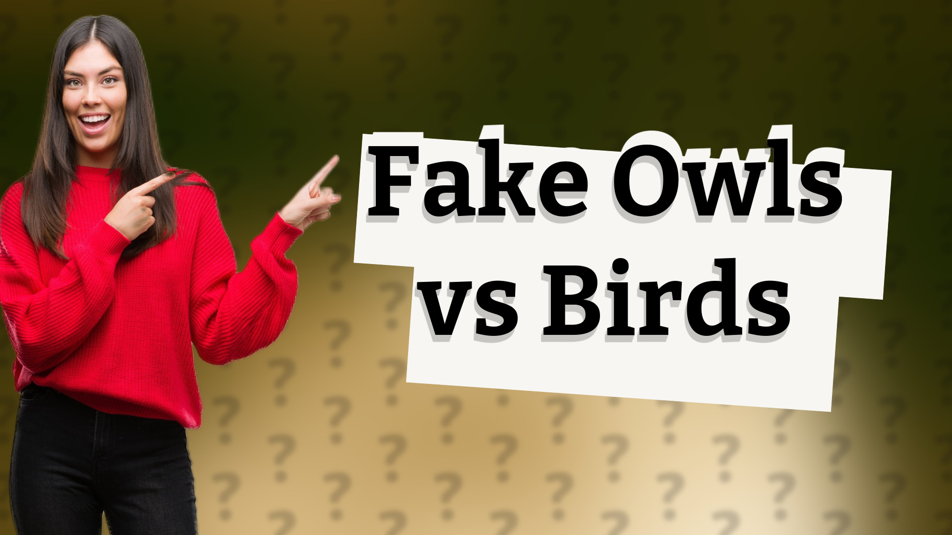 Fake Owls vs Birds